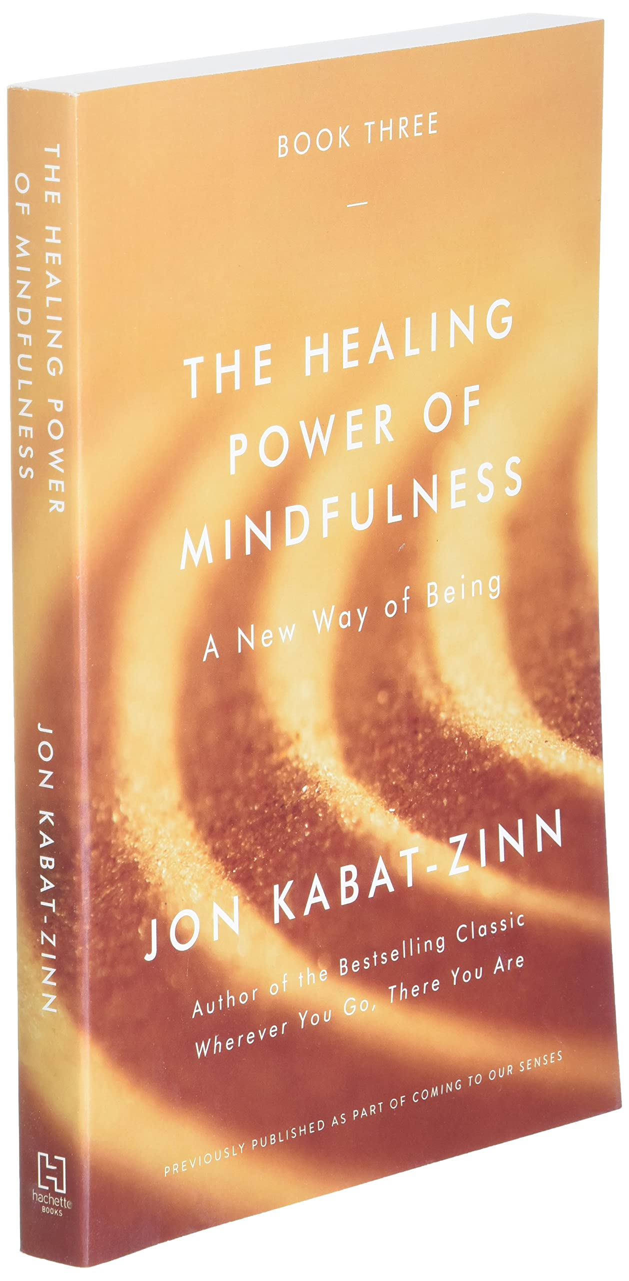 The Healing Power of Mindfulness: A New Way of Being - Reduce Stress & Improve Mental Wellbeing | Perfect for Meditation, Yoga & Daily Relaxation