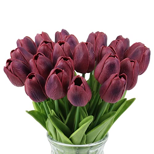 24pcs Burgundy