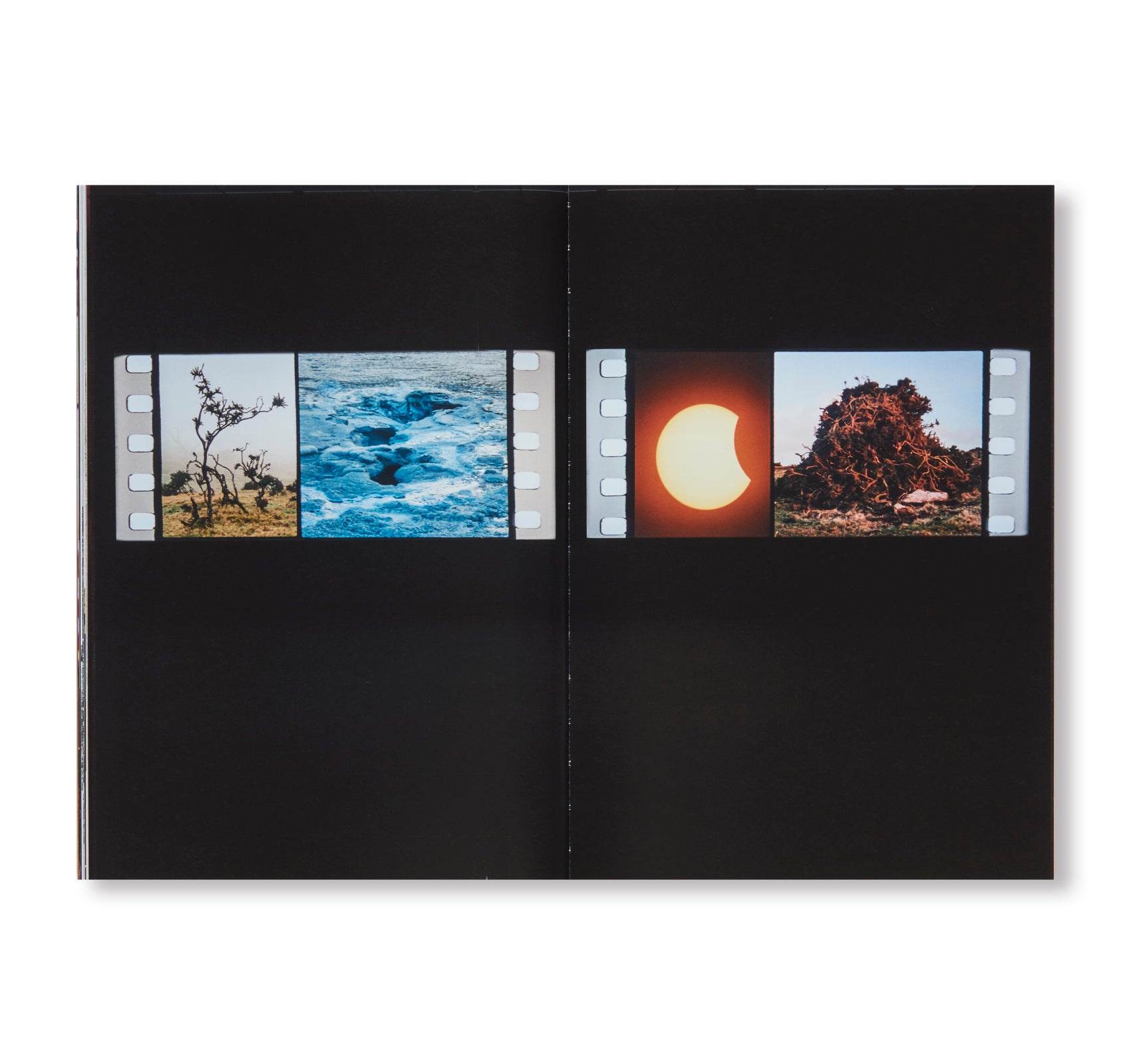 ANTIGONE by Tacita Dean - Limited Edition Art Book | Greek Tragedy Inspired Contemporary Artwork | Perfect for Art Collectors, Literature Lovers & Home Decor