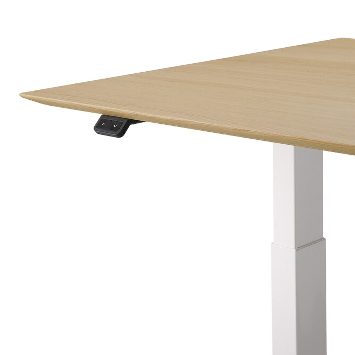 Adjustable Rectangle Desk with Cable Management - 160cm Office Desk in Oak & White | Perfect for Home Office, Study & Workspace Organization