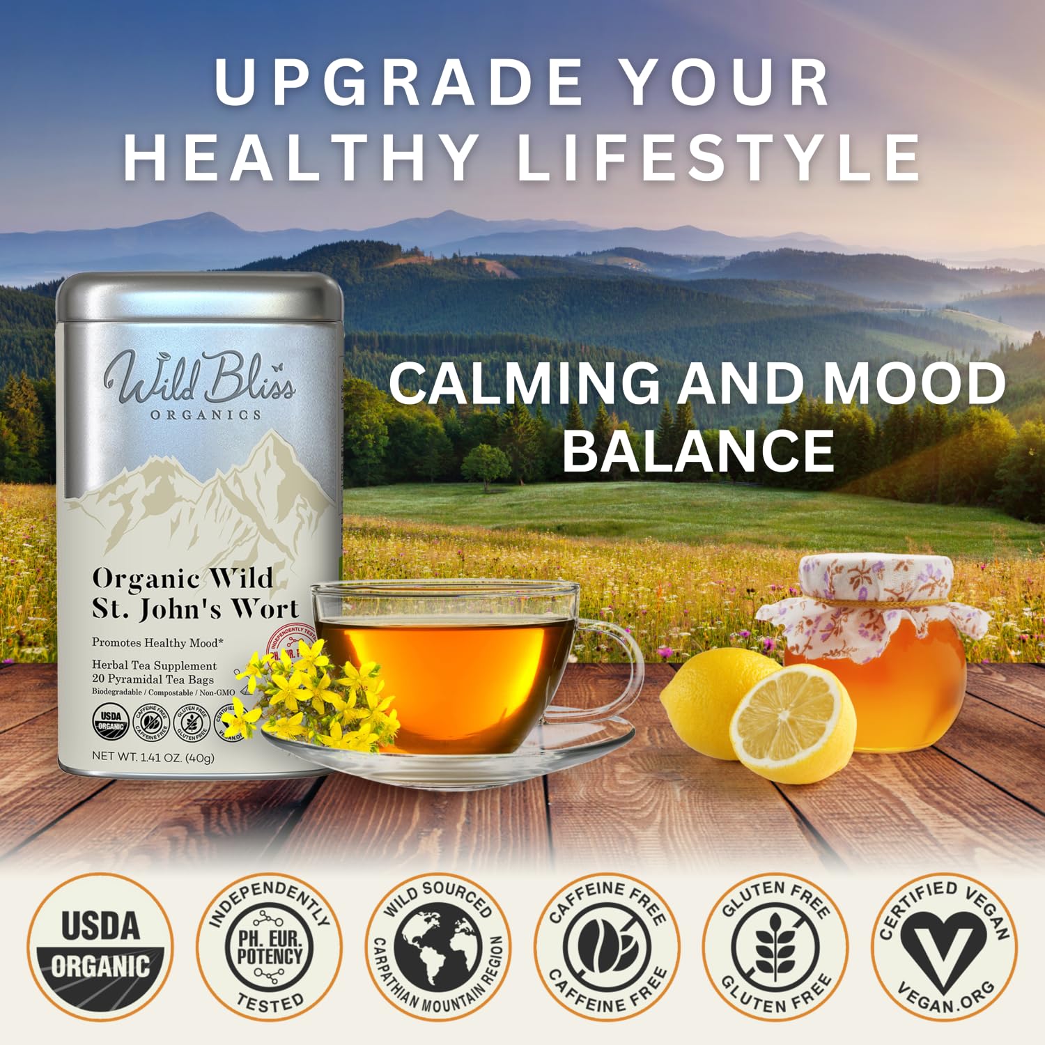 Wild Bliss Organic St. John's Wort Herbal Tea - Caffeine Free Mood Support & Stress Relief - Pharmacopoeia Strength - 20 Plant-Based Tea Bags - Perfect for Relaxation, Meditation & Evening Wind-Down