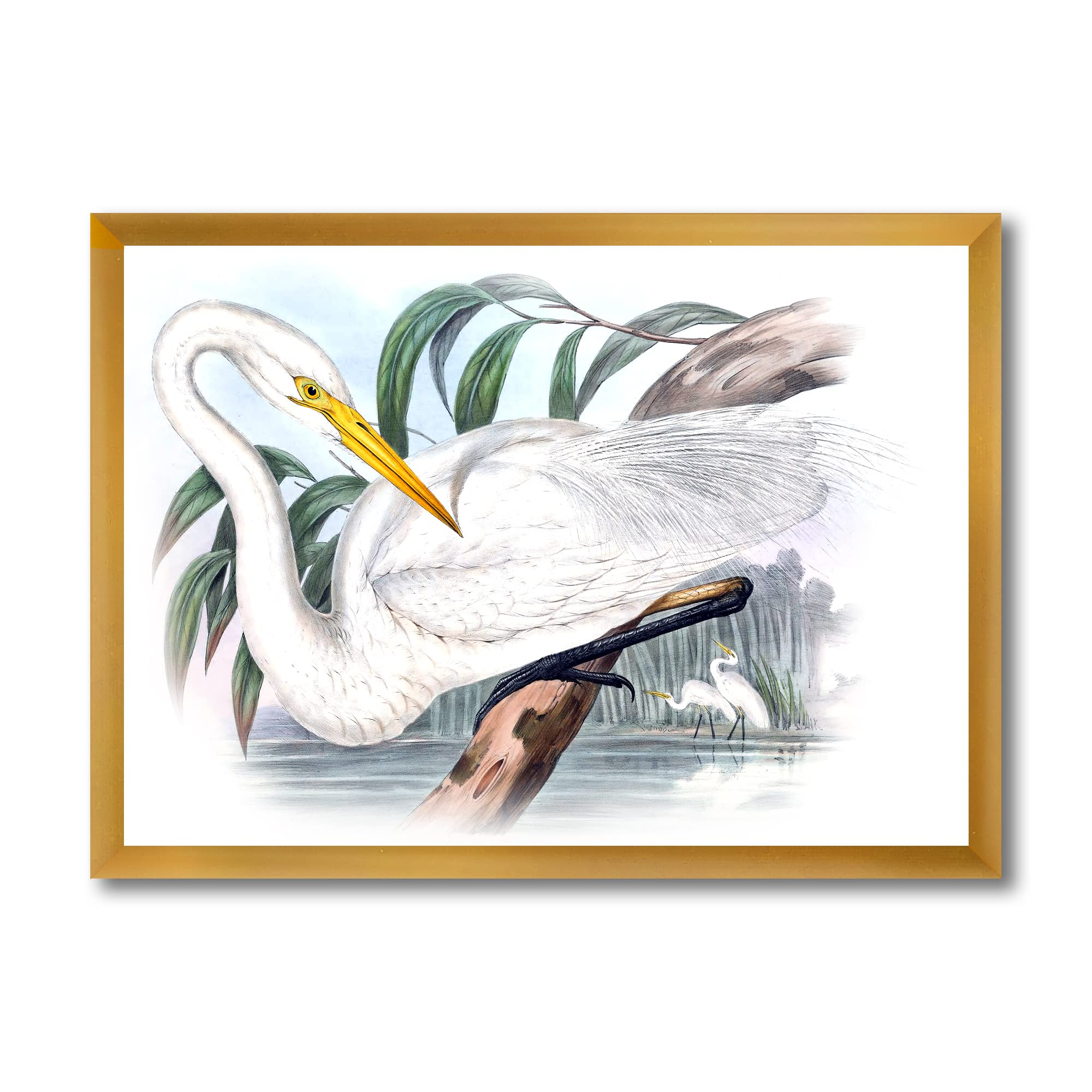Vintage Australian Birds IV Traditional Framed Wall Art - Handmade Canvas Painting for Home & Office Decor - Perfect for Living Room, Bedroom, Study and Gift Giving