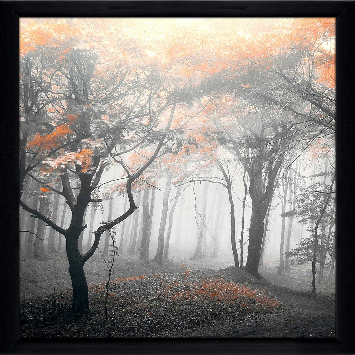 46 Autumn Woods Landscape Print on Acrylic - Premium Wall Art Decor for Living Room, Bedroom & Office - Nature Photography by PhotoINC Studio