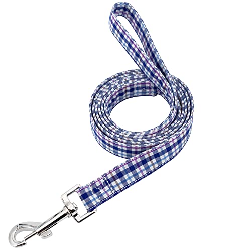 Bule Plaid Leash