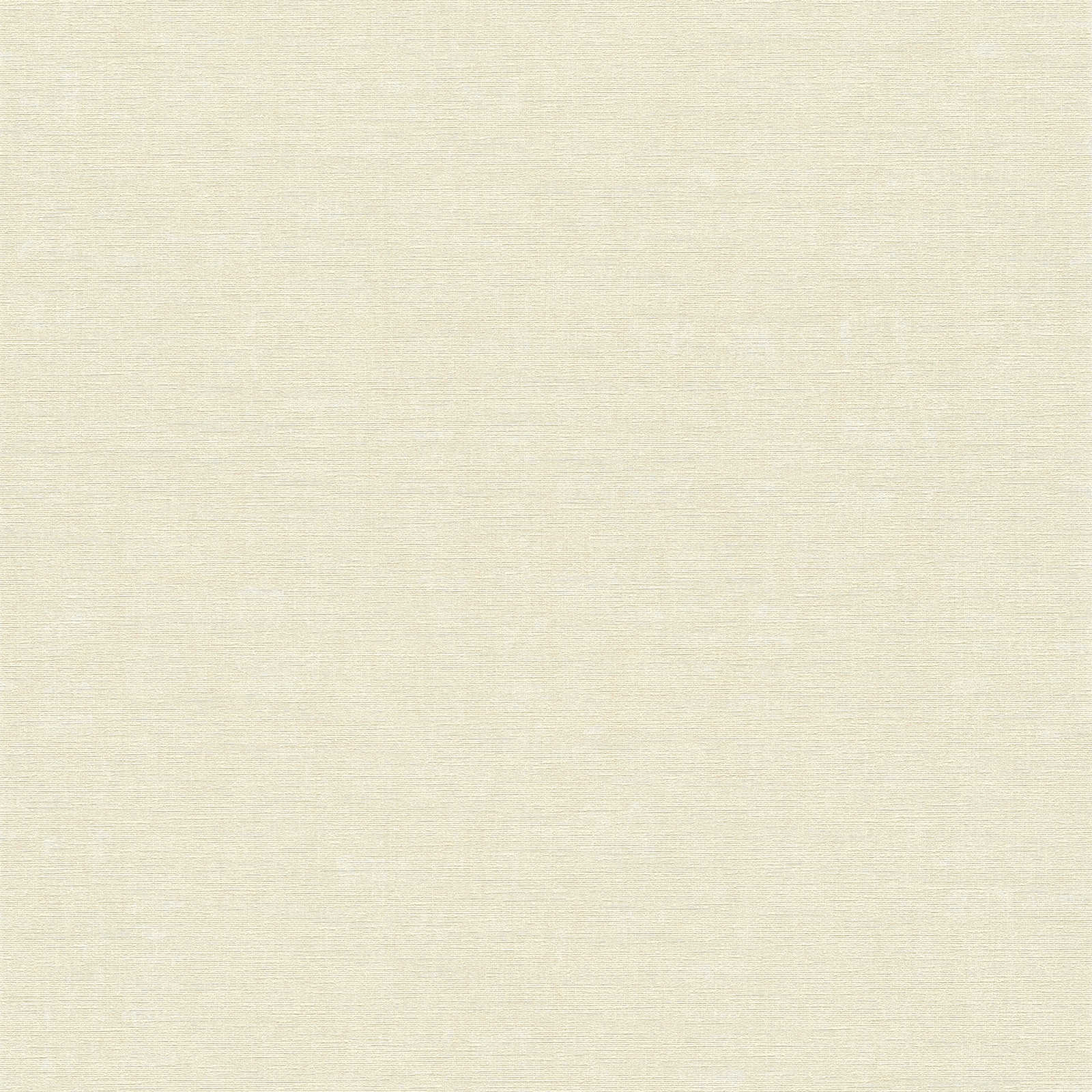 Nara Mottled Plain - Stylish and Versatile Home Decor for Living Room, Bedroom, or Office