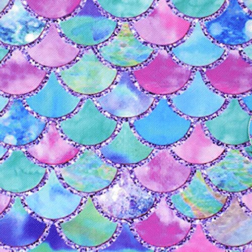 06 Rainbow Fish Scale