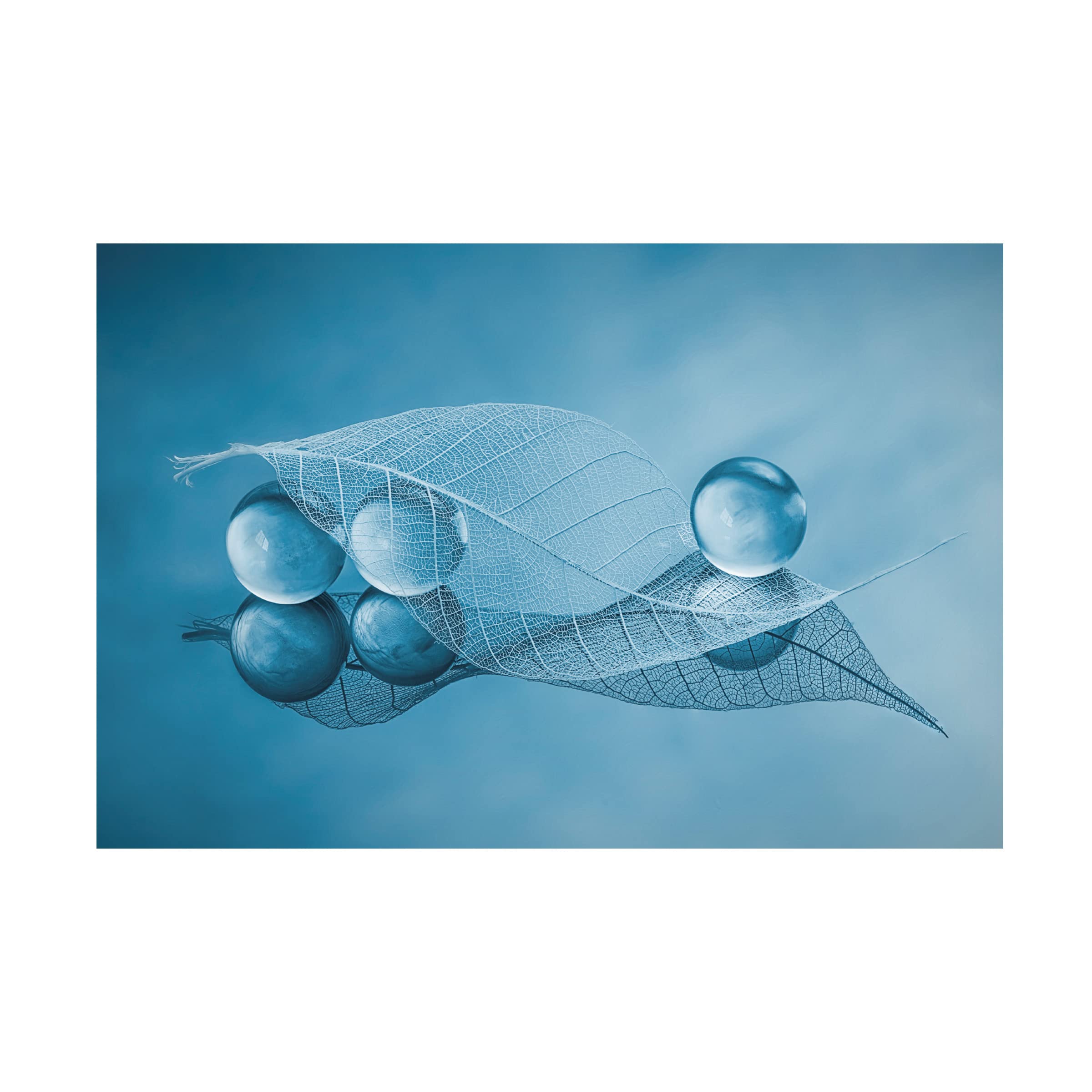 Lydia Jacobs 'Dry Leaf And Bubbles' Canvas Wall Art Print - Modern Botanical Home Decor for Living Room, Bedroom & Office