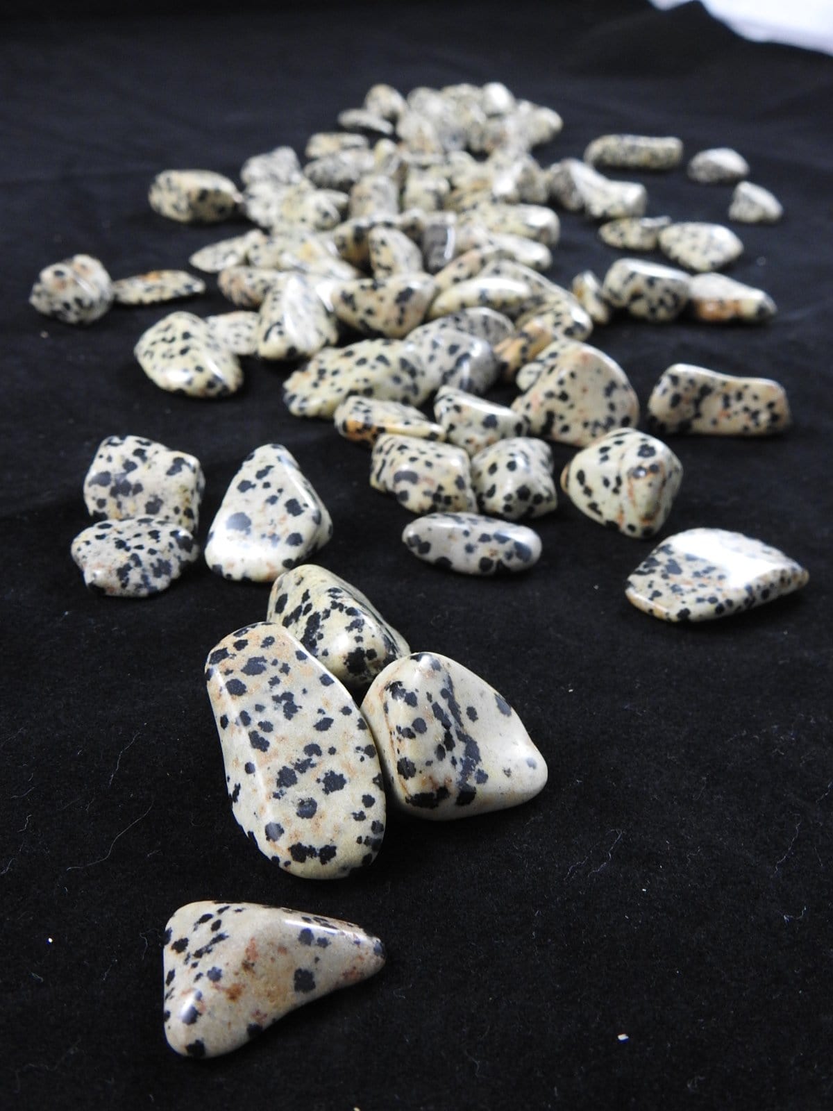 Dalmatian Jasper Tumbled Stones - Natural Polished Healing Crystals for Chakra Balancing, Meditation & Home Decor