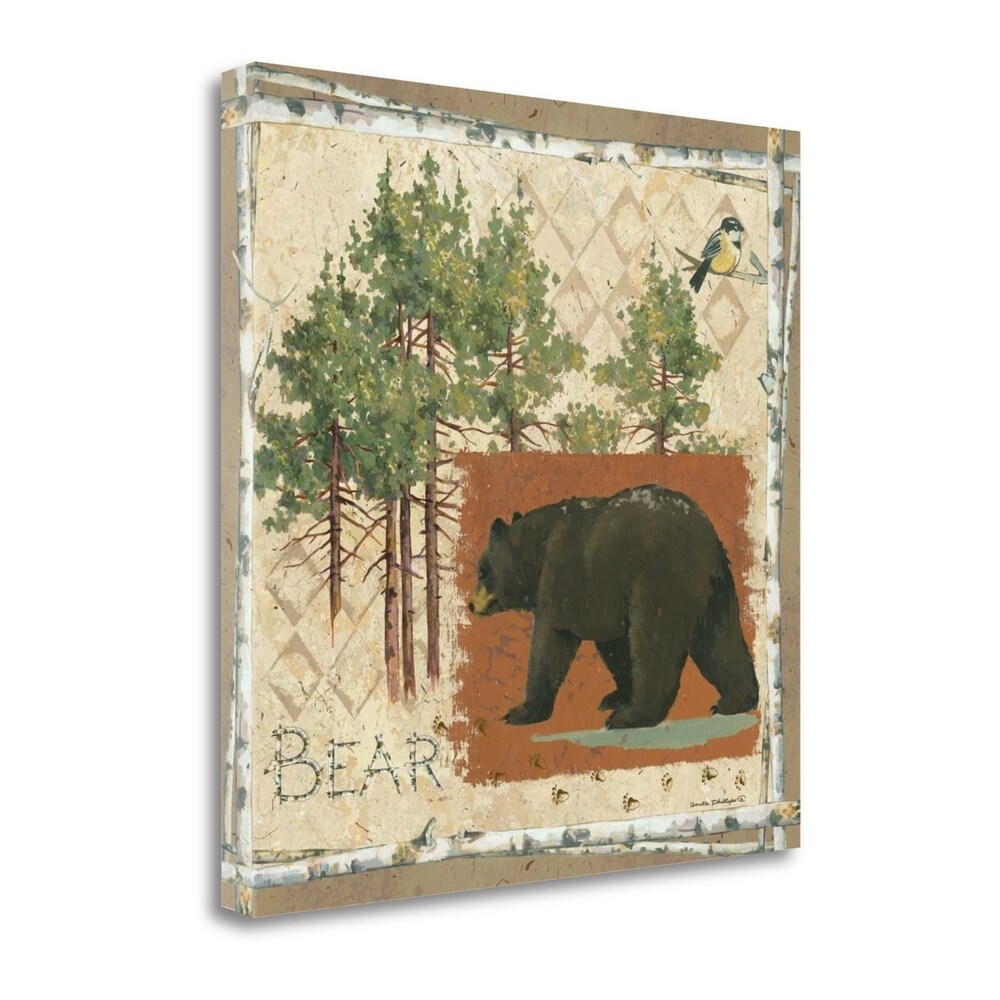 Black Bear by Anita Phillips - Premium Fine Art Giclee Print on Gallery Wrapped Canvas, Ready to Hang Wall Decor for Living Room, Bedroom & Office