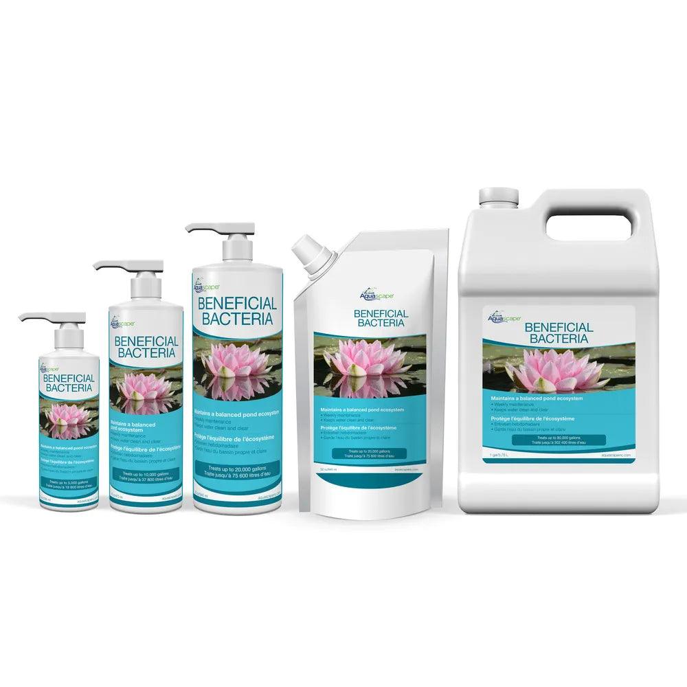 Probiotic Supplements for Gut Health - Beneficial Bacteria for Digestion & Immune Support - Use Daily for Optimal Wellness
