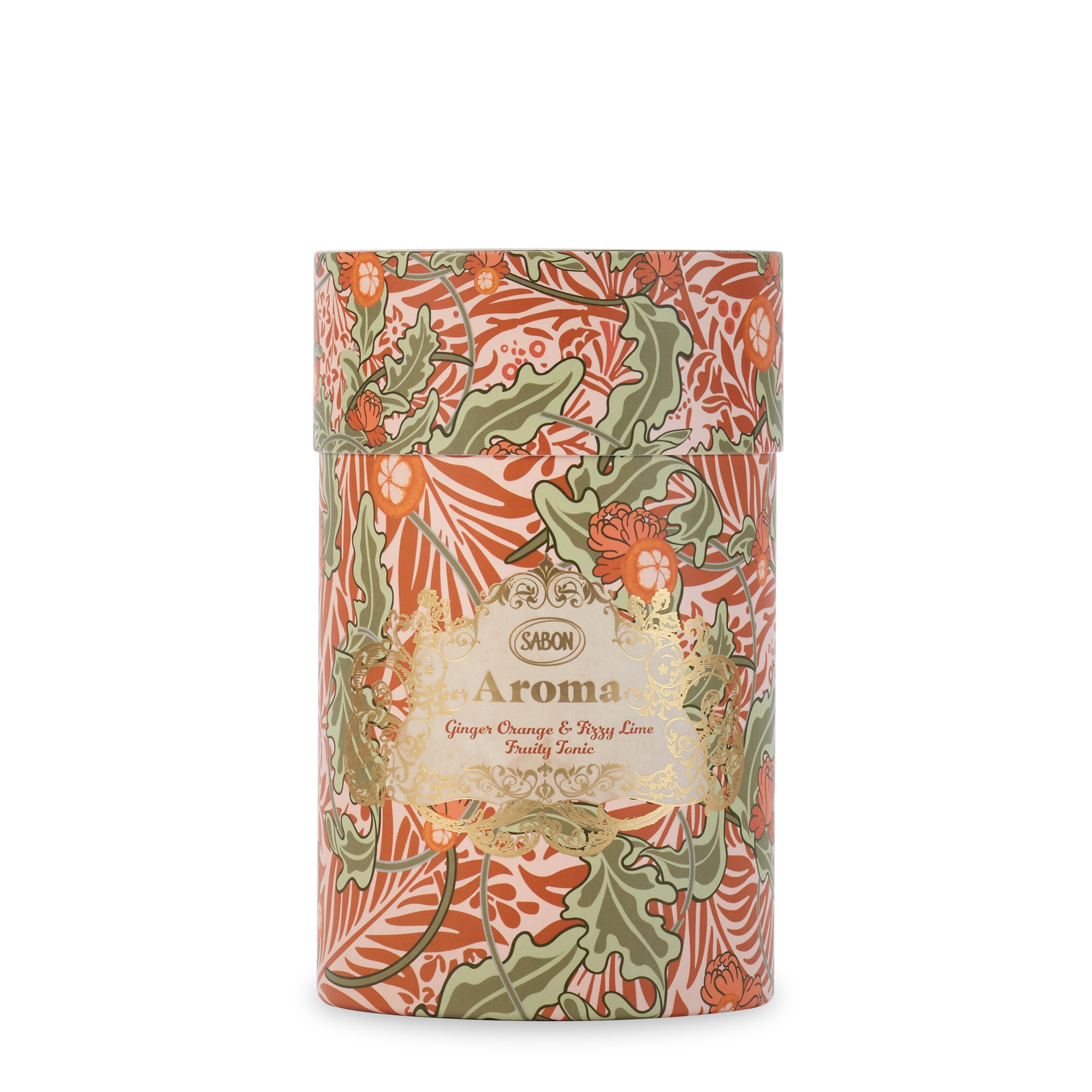 Ginger Orange & Fizzy Lime Aroma Reed Diffuser - 250mL Essential Oil Room Fragrance for Home, Office & Spa Relaxation