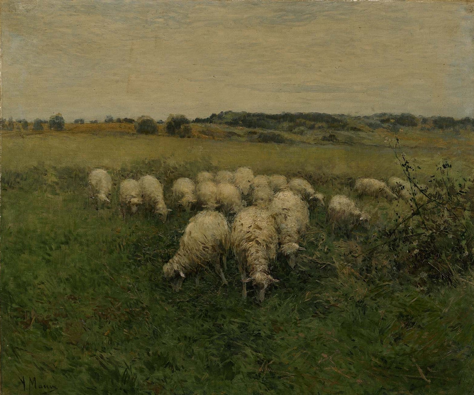Anton Mauve Sheep Grazing in an Open Field - Dutch Landscape Oil Painting Reproduction - Perfect for Home Decor, Office Wall Art & Gift Ideas