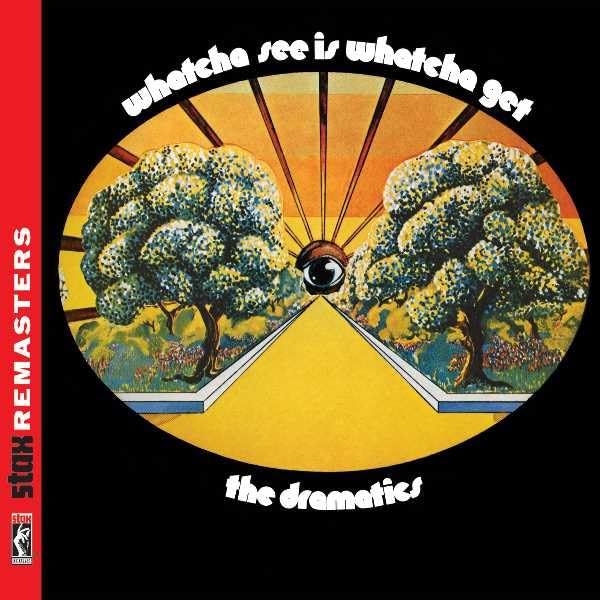 Whatcha See Is Whatcha Get Remastered - Vintage Vinyl for Music Lovers
