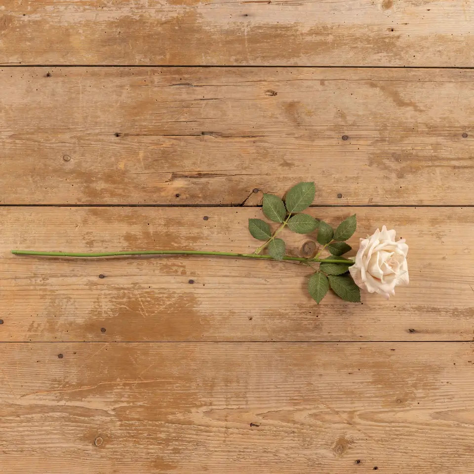 Premium Cream Rose Stems - Artificial Silk Flowers for Home Decor, Wedding Bouquets, and Floral Arrangements | Realistic Fake Roses for Centerpieces, DIY Crafts, and Gift Giving