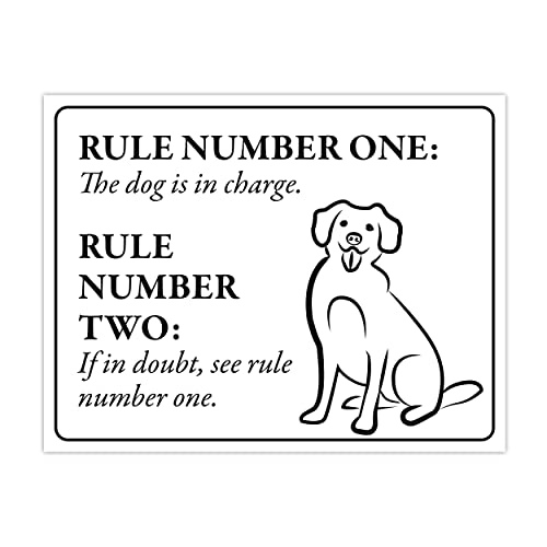 Dog in Charge (single dog)