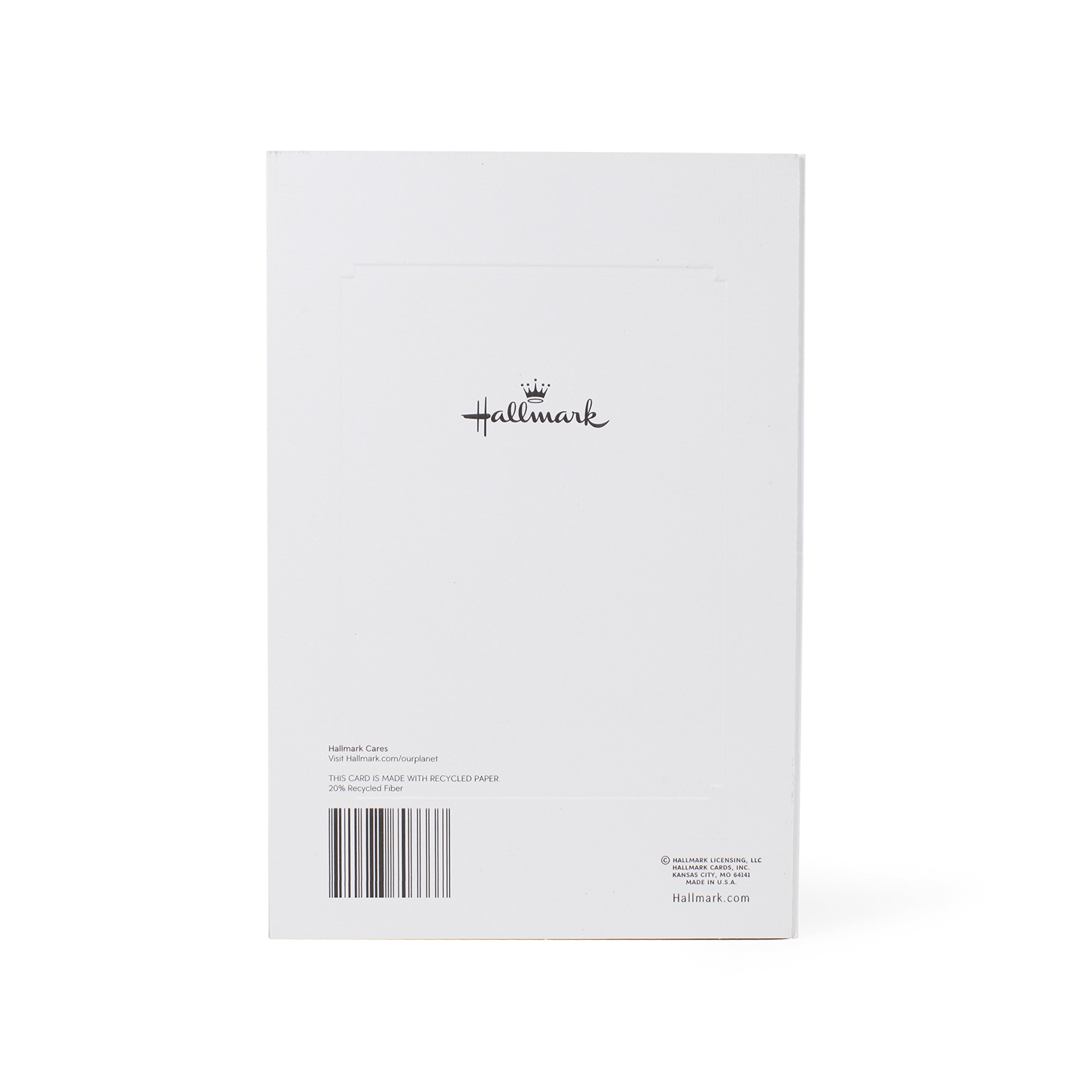 Hallmark Birthday Greeting Card for Dad - Wonderful Man Father's Day Card with Heartfelt Message | Perfect for Father's Day, Birthday Gifts & Special Occasions