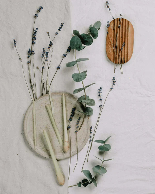 Natural Moth Repellent Scent Bags - Lavender, Patchouli, Lemongrass & Eucalyptus Essential Oils | Closet & Storage Protection | Wardrobe Freshener for Clothes, Blankets & Linens | Eco-Friendly Pest Control Solution
