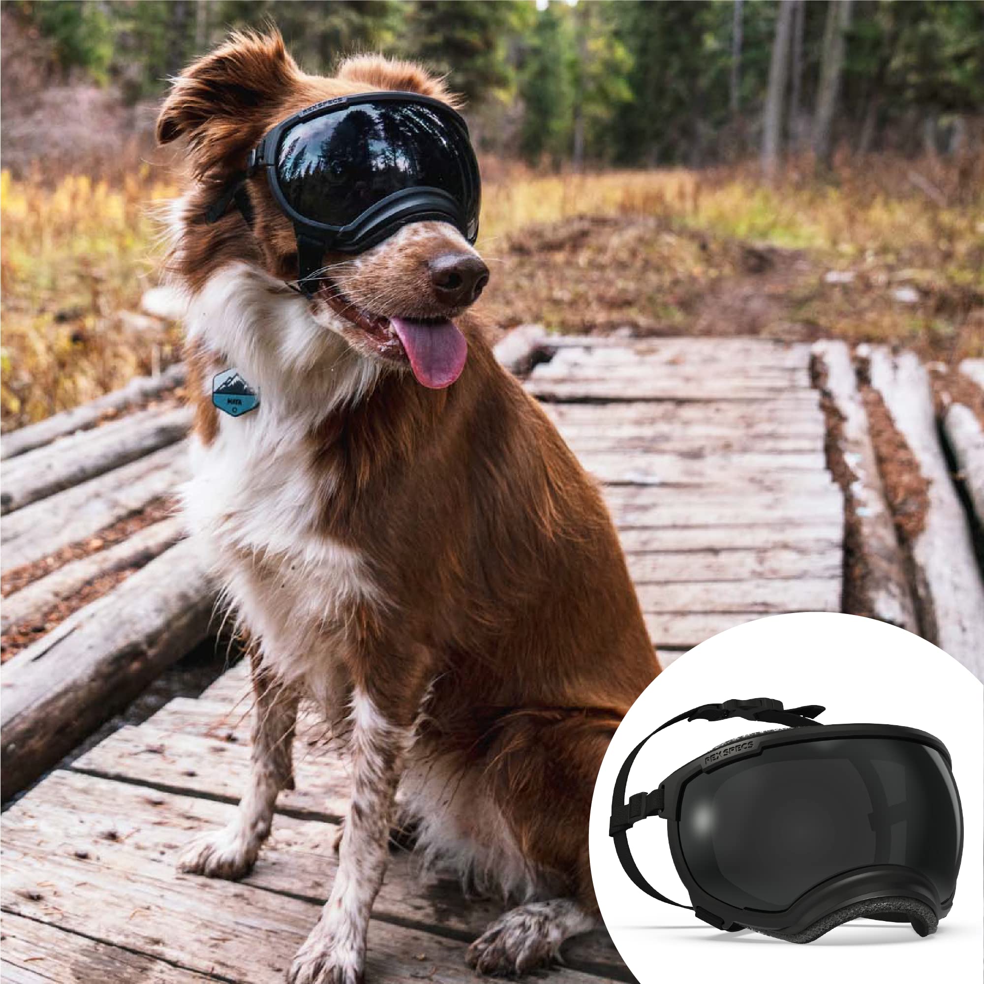 Rex Specs V2 Dog Goggles - Medium Size, Black - Protective Eyewear for Active Dogs - Perfect for Hiking, Running & Outdoor Adventures