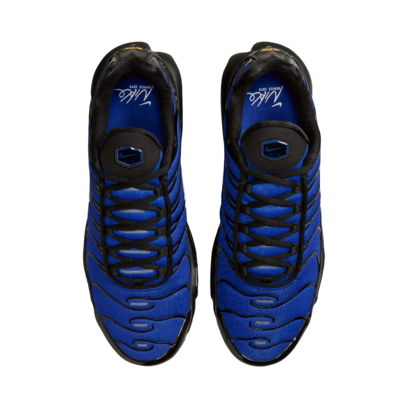 Nike Air Max Plus Premium Running Shoes for Men - Black Phantom & Racer Blue - Comfortable Athletic Sneakers for Jogging, Gym & Casual Wear