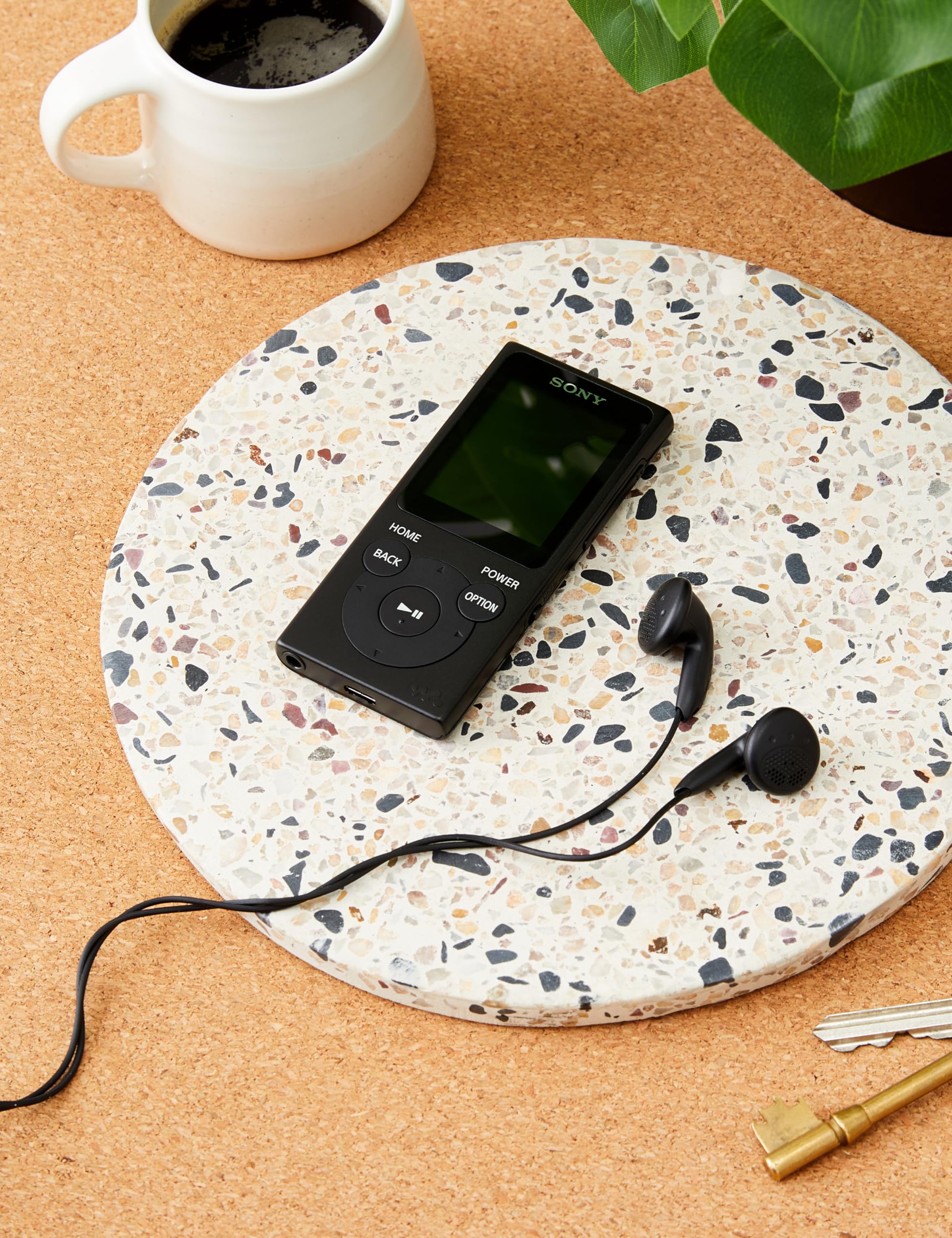 Sony NW-E394 8GB Walkman MP3 Player with FM Radio, Bluetooth & Long Battery Life - Portable Music Player for Running, Gym, Travel & Outdoor Activities - Black