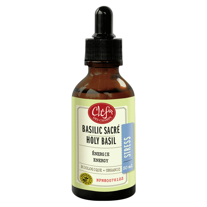 Organic Holy Basil Essential Oil 50ml - Natural Stress Relief & Immune Support for Aromatherapy, Massage & Relaxation