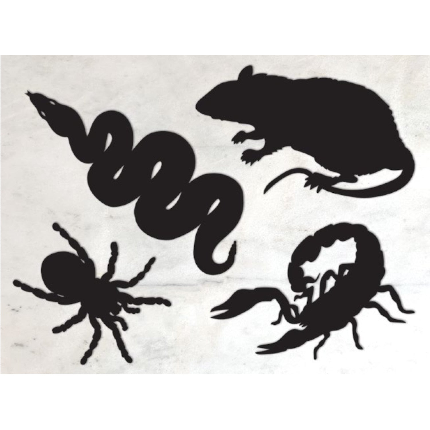 Creepy Crawly Serving Confetti - Halloween Party Decorations & Spooky Themed Table Scatter for Birthday Celebrations