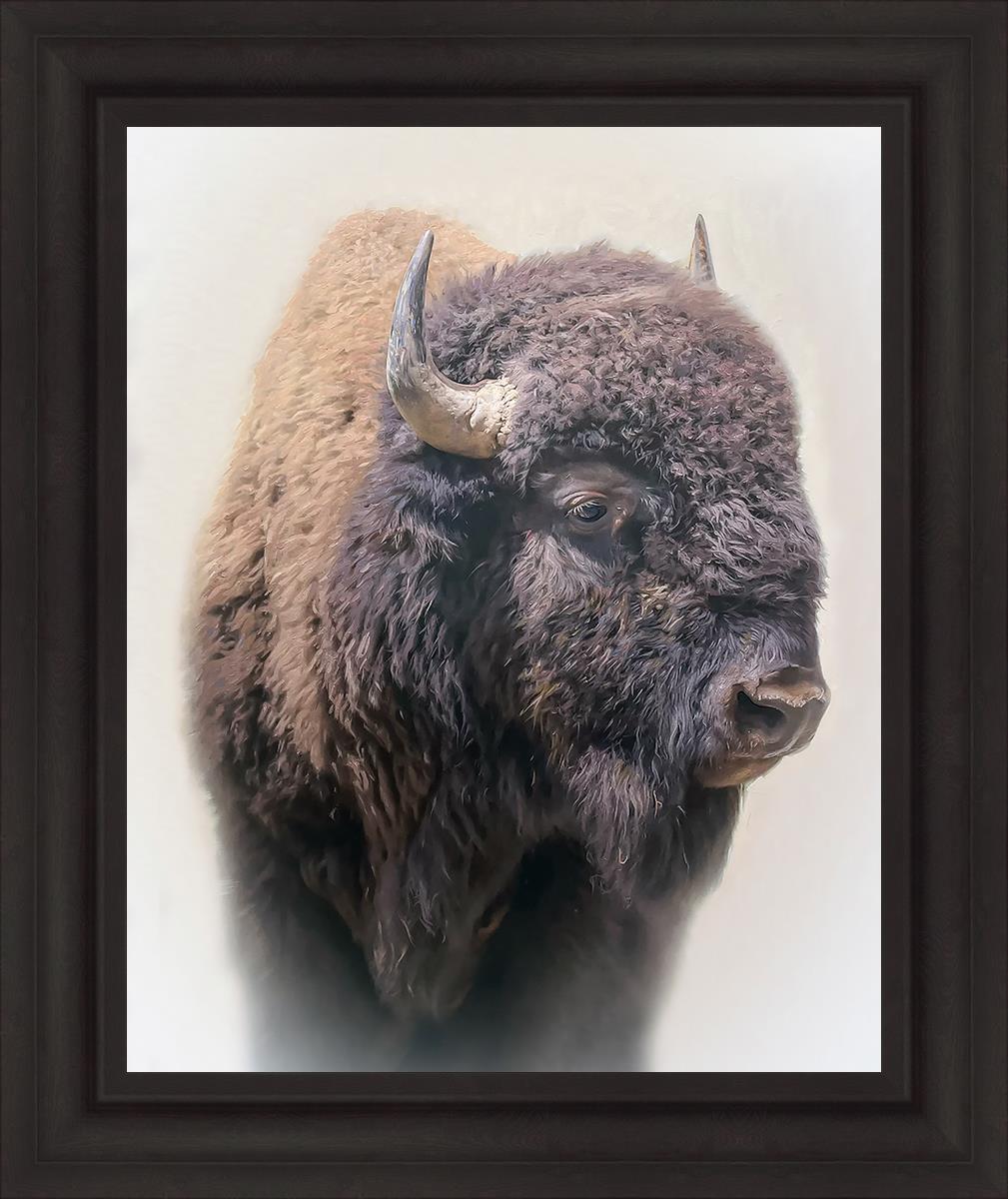 Bison By Matthew Grant | Premium Bison Meat & Jerky | High-Protein Snacks for Camping, Hiking & Outdoor Adventures