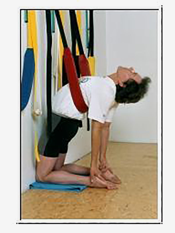 JivanaProps Pelvic Swing with Wall Kit - Yoga & Physical Therapy Exercise Equipment for Core Strength & Flexibility - Perfect for Home Gym, Rehabilitation & Fitness Training