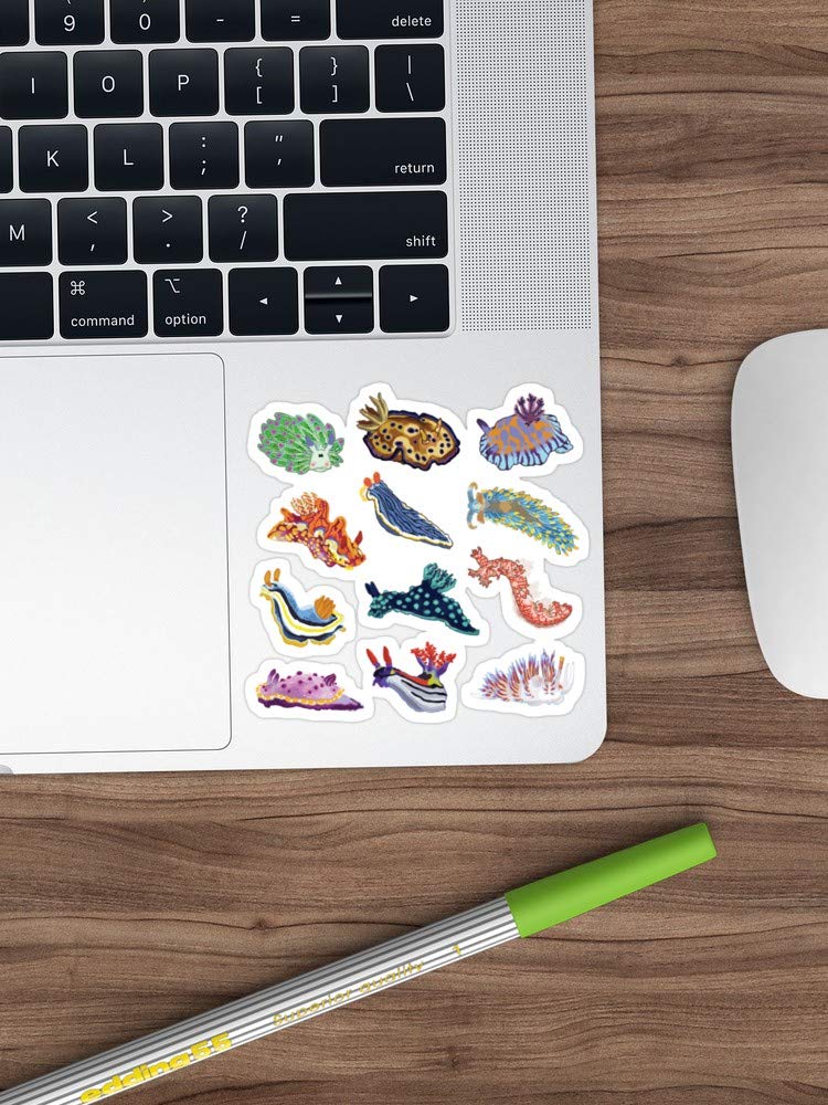 3 Pack Cute Nudibranch Sea Slug Vinyl Stickers - Waterproof Decals for Laptop, Phone, Car, Guitar, Fridge - Fun Marine Life Decor for Kids & Adults - Perfect for School, Office, Travel Accessories
