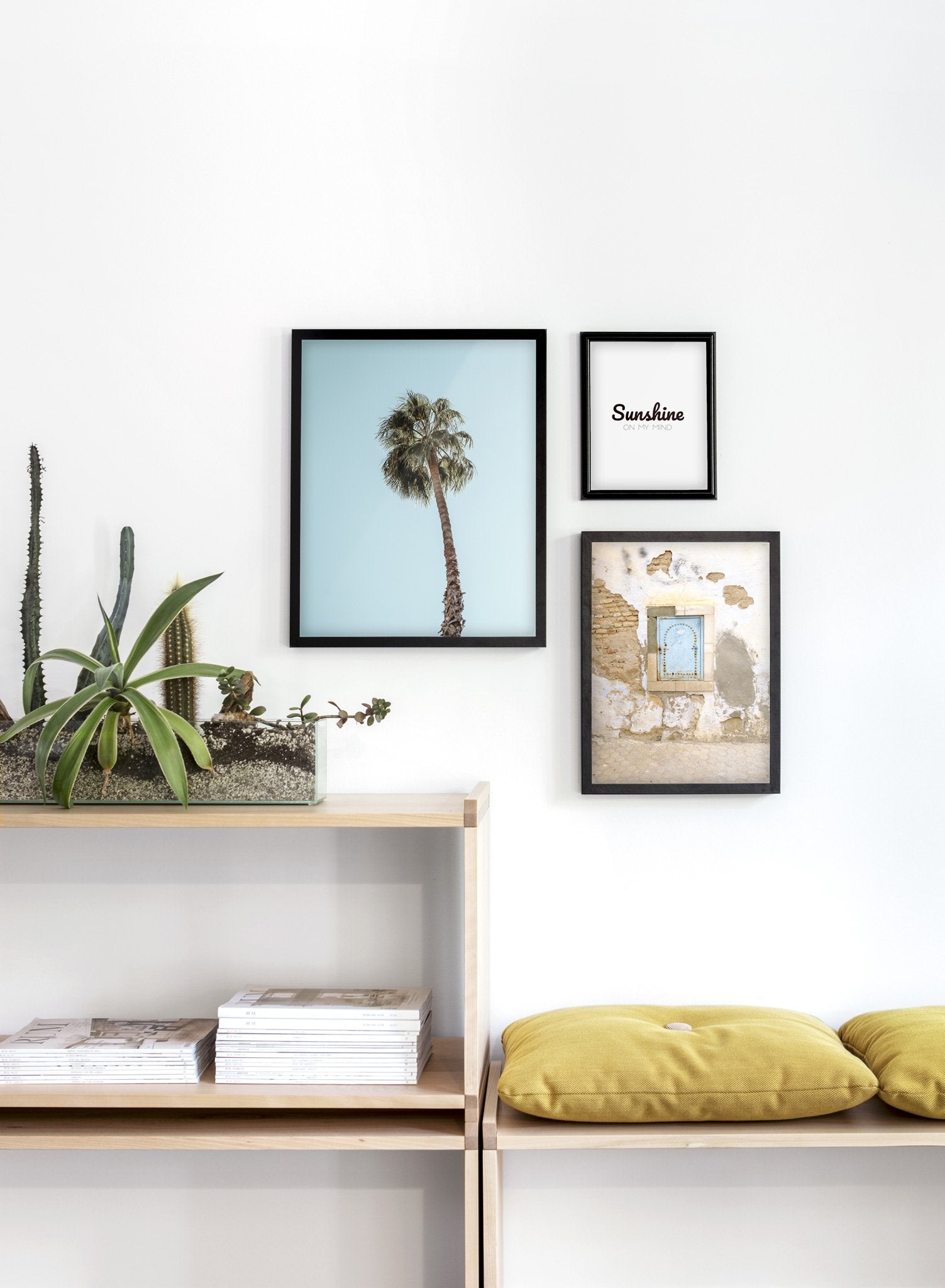 Palm Tree Poster - Tropical Beach Wall Art Decor for Home, Office & Dorm - Perfect for Coastal, Summer & Vacation Themed Rooms