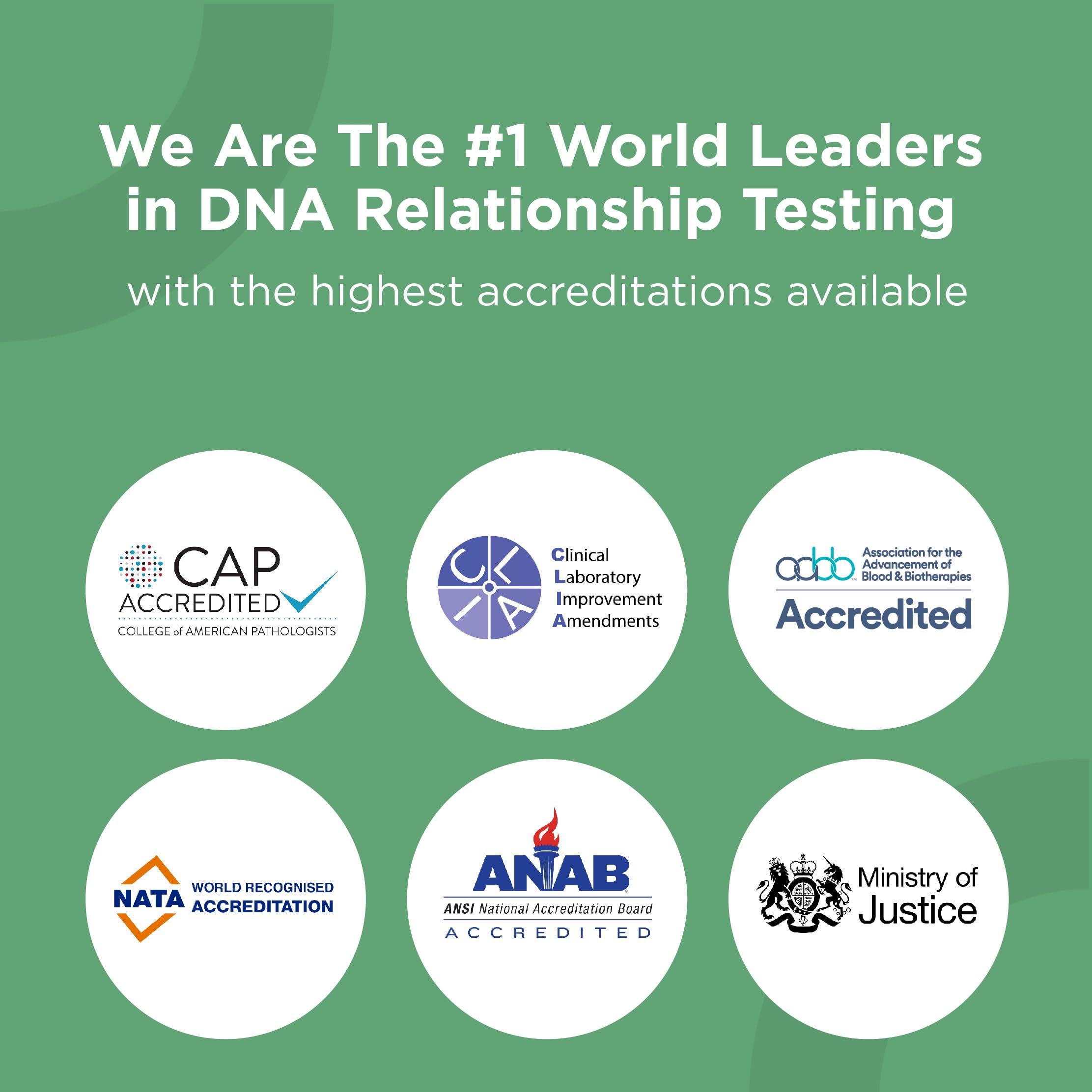 Grandparent DNA Test Kit - Fast & Accurate Results with 34 Genetic Markers - Includes Lab Fees & Free Shipping - Paternity Testing Without Father - Perfect for Family Reunions, Legal Cases & Genealogy Research