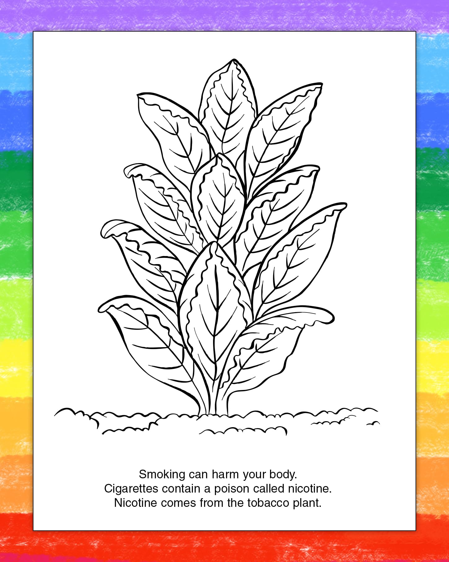 ZOCO Anti-Smoking Educational Coloring Books for Kids - 250 Pack with Crayons | Fun Activities, Puzzles & Games | Perfect for Schools, Community Events & Health Awareness Programs