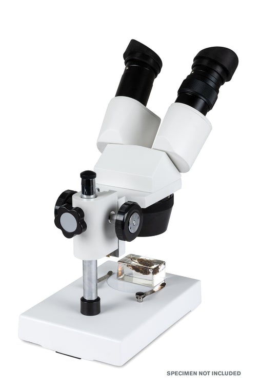 Celestron S10 30N Stereo Microscope 44138 - High Power 20x & 30x Magnification for Coin Collecting, Jewelry Inspection & Science Labs | Professional Binocular Microscope with LED Illumination