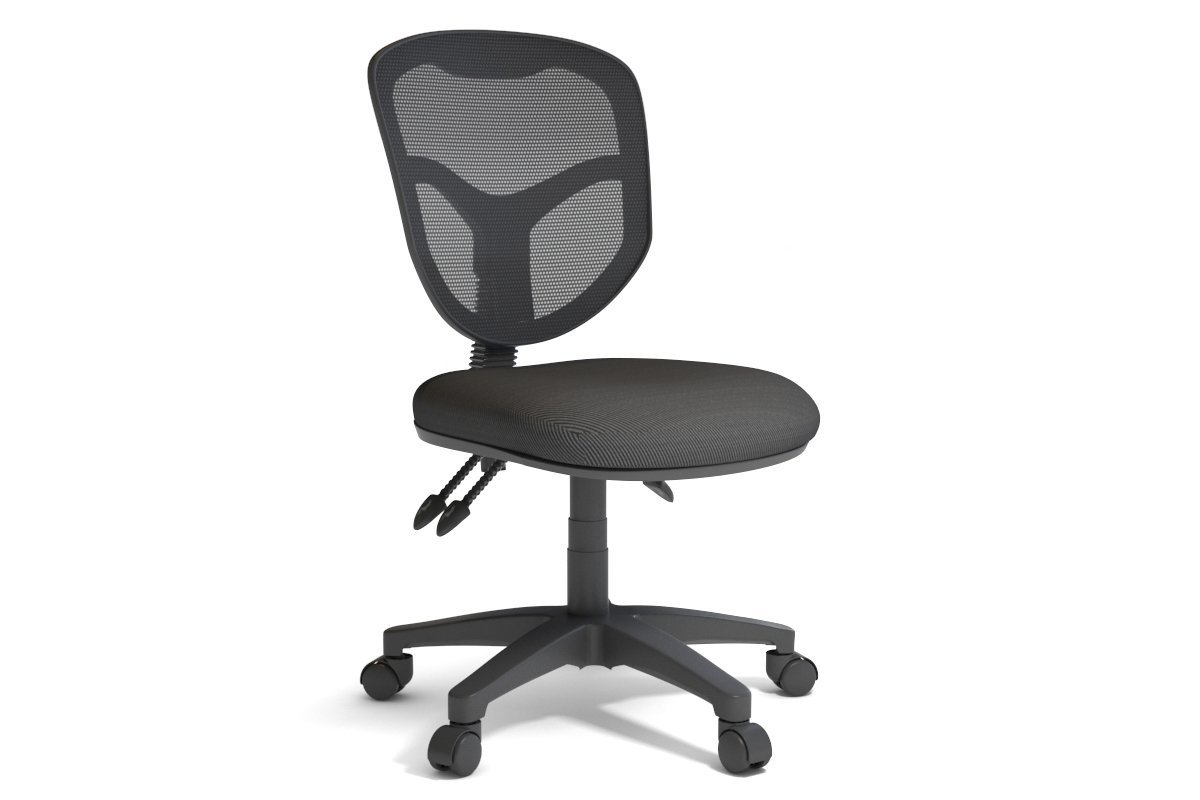 Plover Ergonomic Office Chair with Breathable Mesh Back - Adjustable Lumbar Support & Tilt Function for Home & Office Workspaces