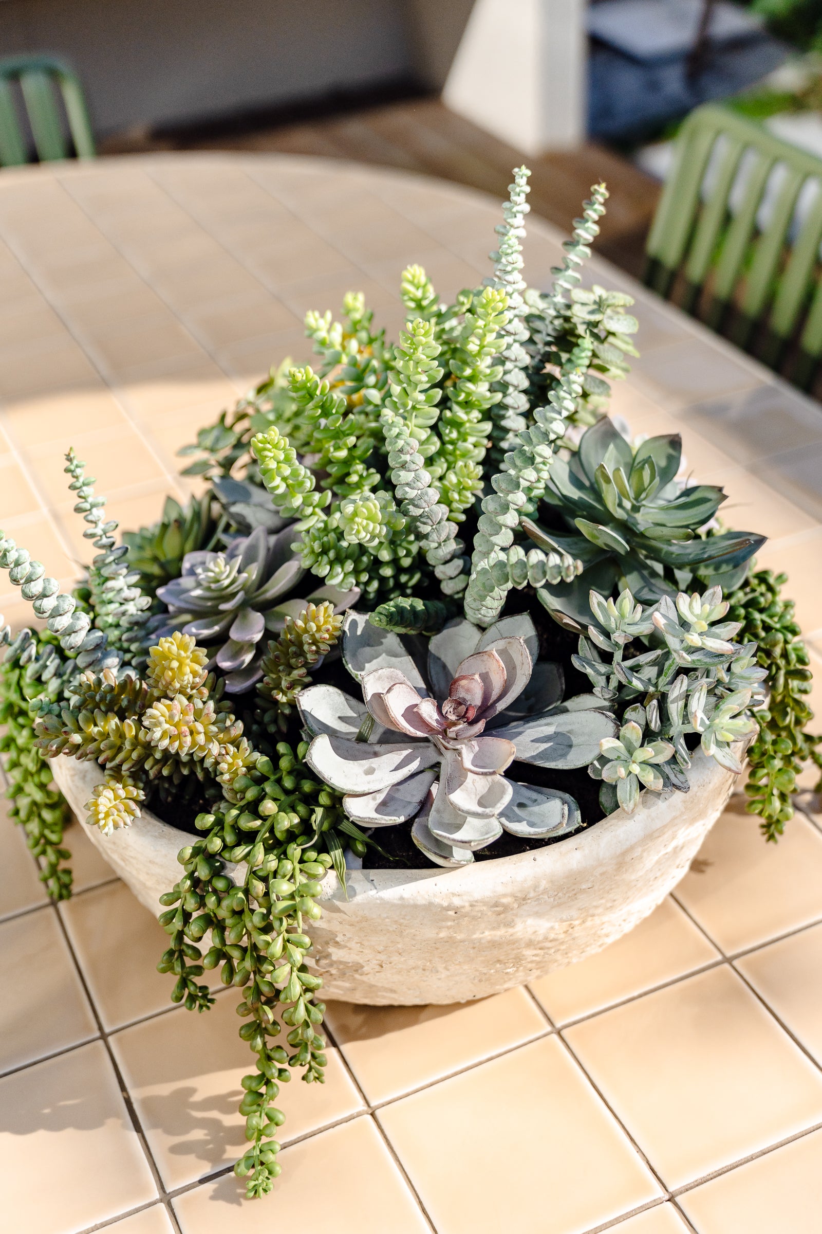 Stylish Faux Succulent Arrangement in Textured Cement Planter - 30cm Modern Home Decor for Living Room, Office & Indoor Spaces