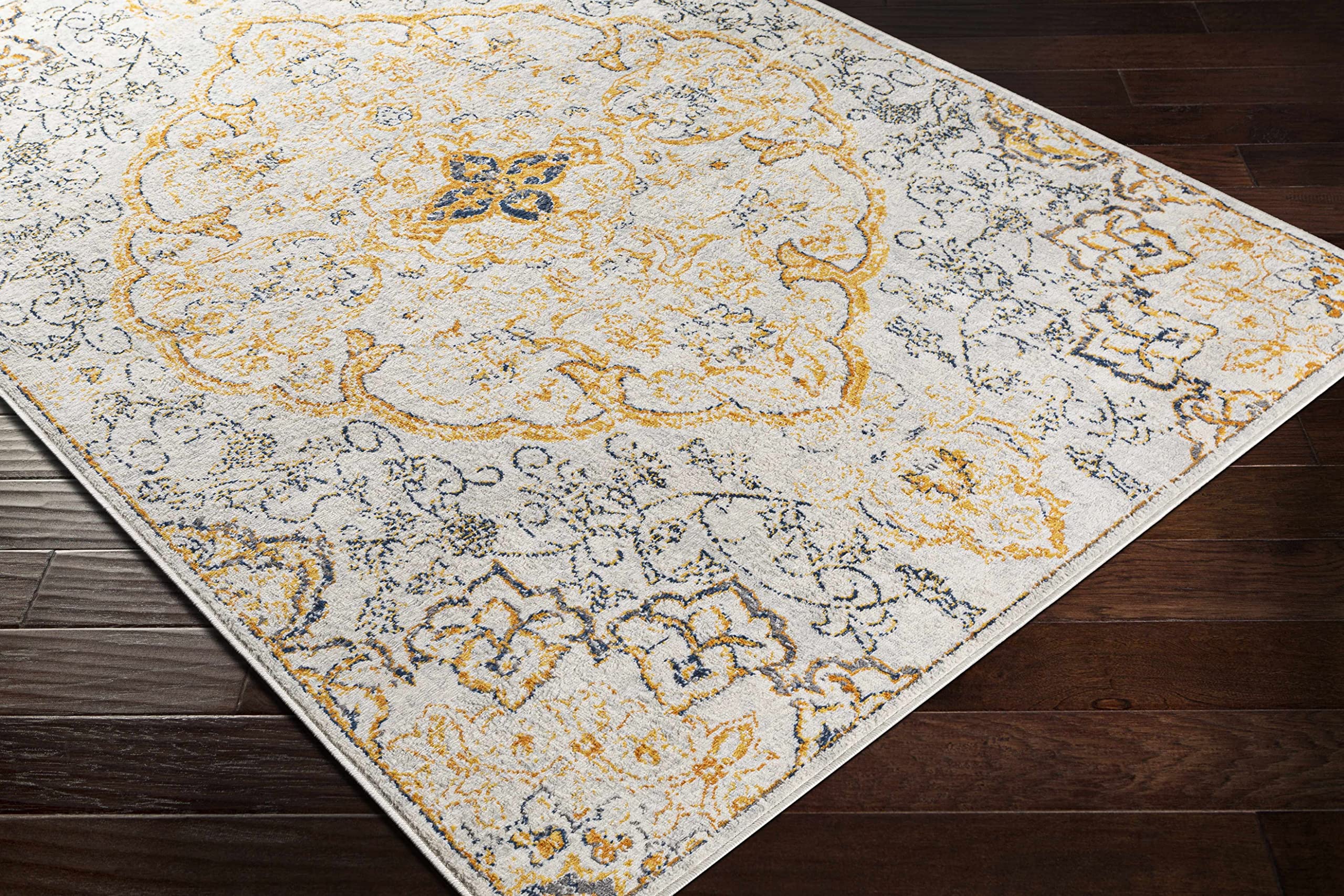 Premium Hauteloom Mehoopany Area Rug for Living Room & Bedroom - Traditional Design in Orange, Gray, Beige - 6'7