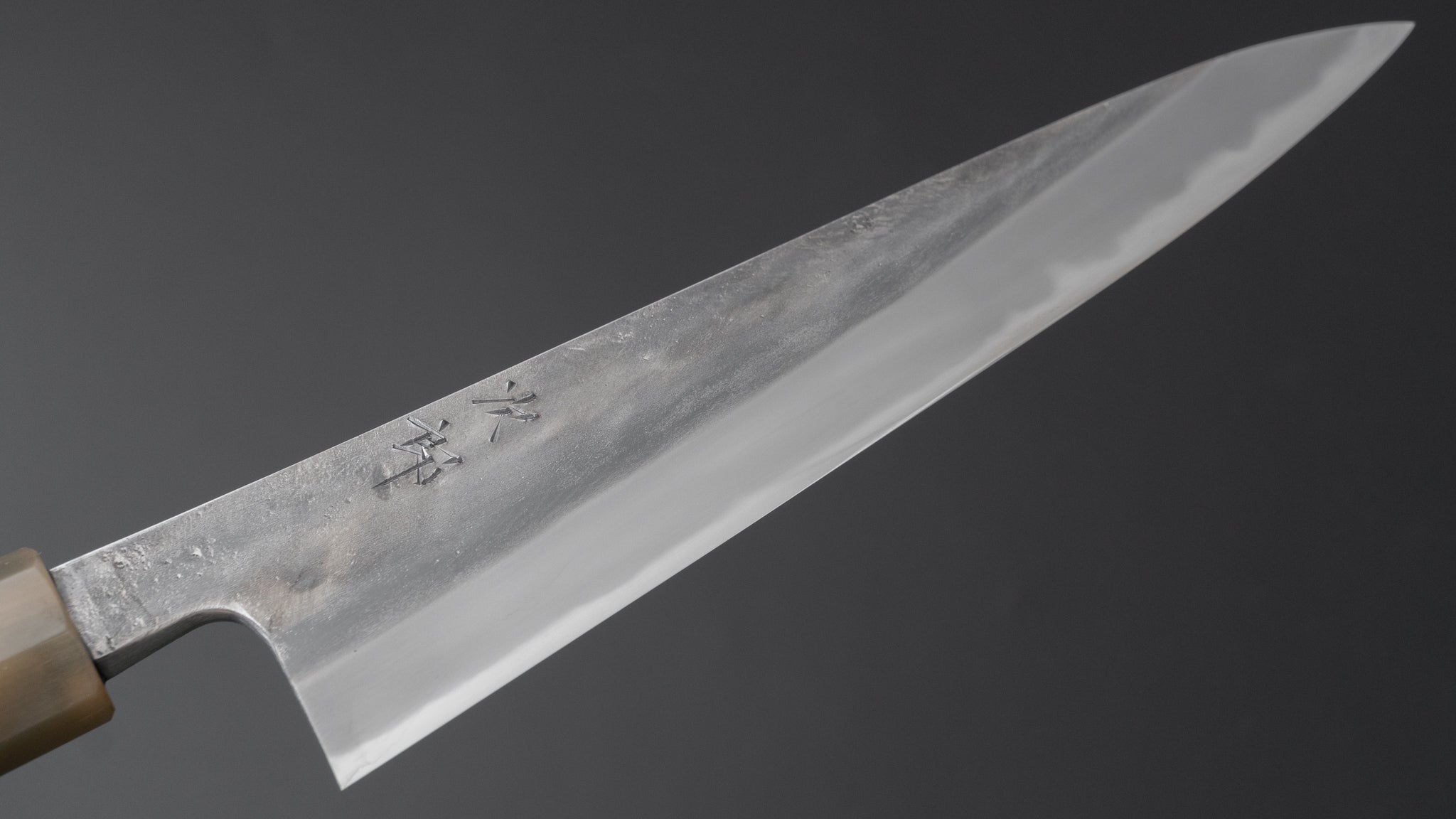 Premium Jiro Tsuchime Sujihiki 210mm Japanese Slicing Knife with Taihei Tagayasan Handle (#482) - Perfect for Sushi, Sashimi & Meat Carving