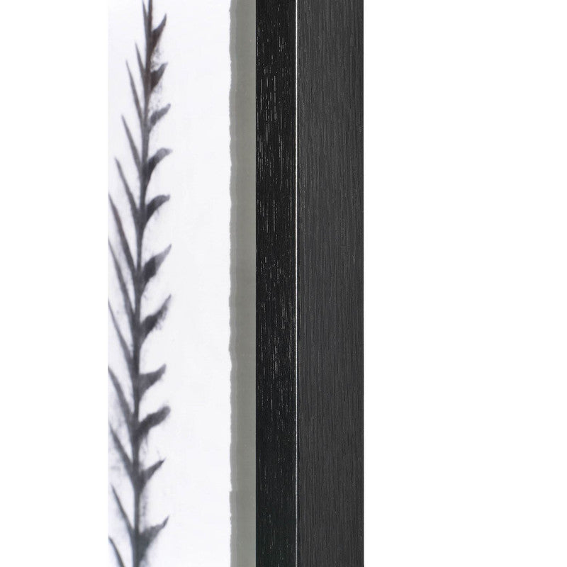 Benalla Wall Art Set of 3 - Modern Black Canvas Paintings for Living Room, Bedroom & Office Decor