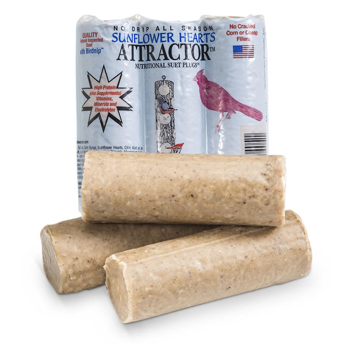 Attractor Sunflower Suet Plugs - 12 Pack | High-Energy Bird Food for Wild Birds | Perfect for Backyard Bird Feeders & Woodpeckers