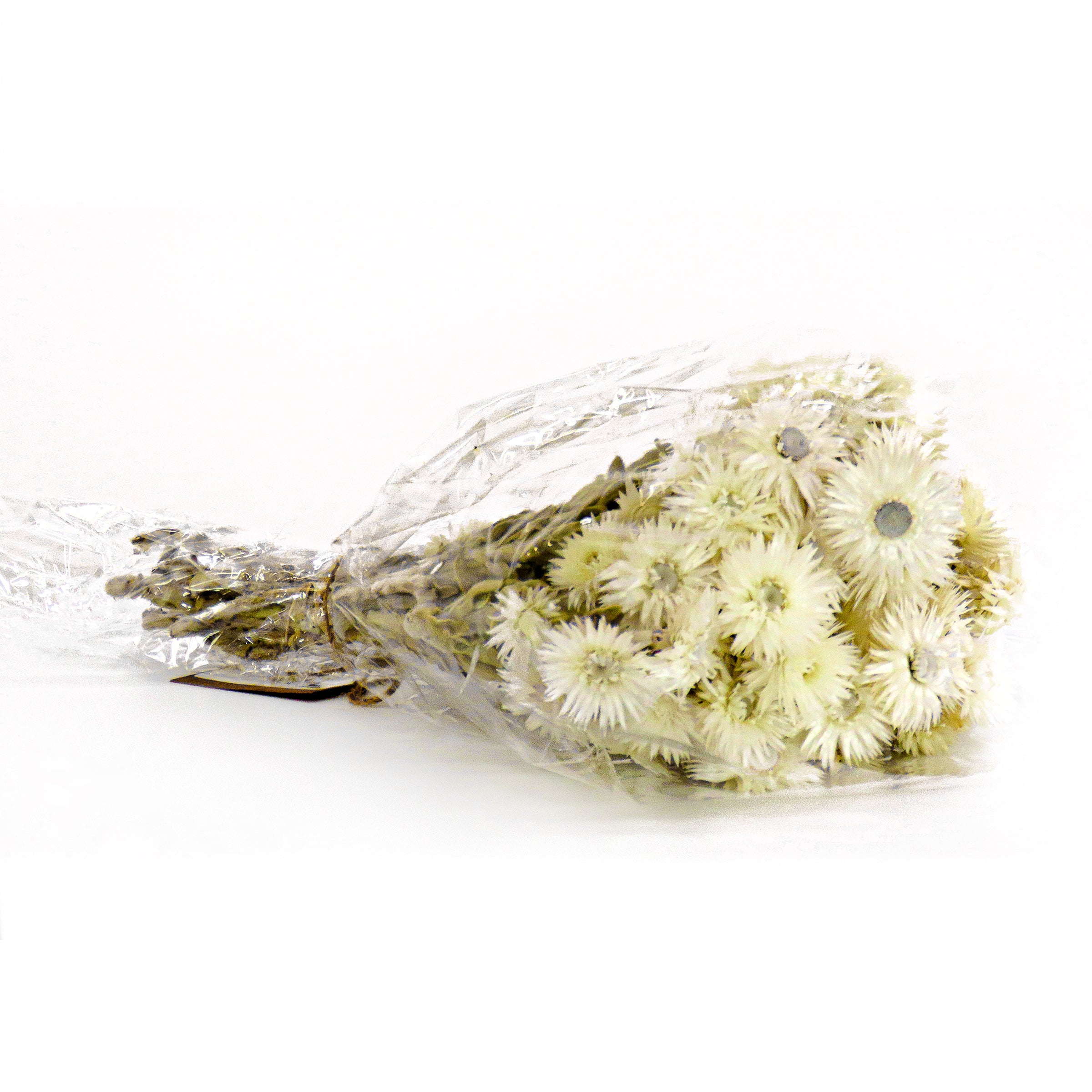 16 Inch Spring Dried Natural Cape Jasmine Flower Bouquet - Perfect for Home Decor, Wedding Centerpieces & DIY Floral Arrangements