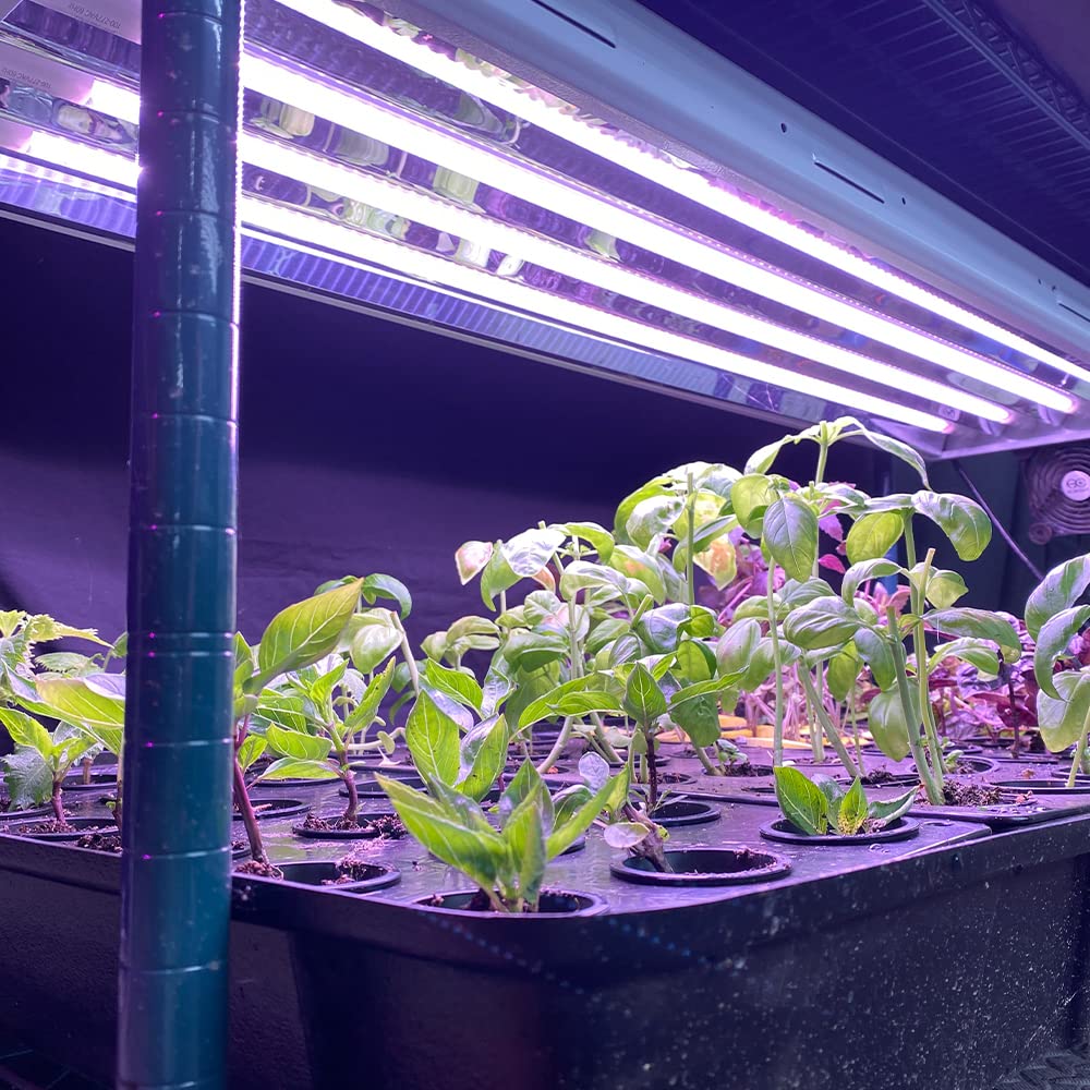 Active Grow T5 High Output 4FT LED Grow Light Bulb - 24W Full Spectrum Plant Light for Indoor Gardening, Hydroponics, Greenhouses - Red Bloom Pro Technology - Plug & Play - 4-Pack - Perfect for Vegetables, Flowers, Fruits and Tropical Plants Growth