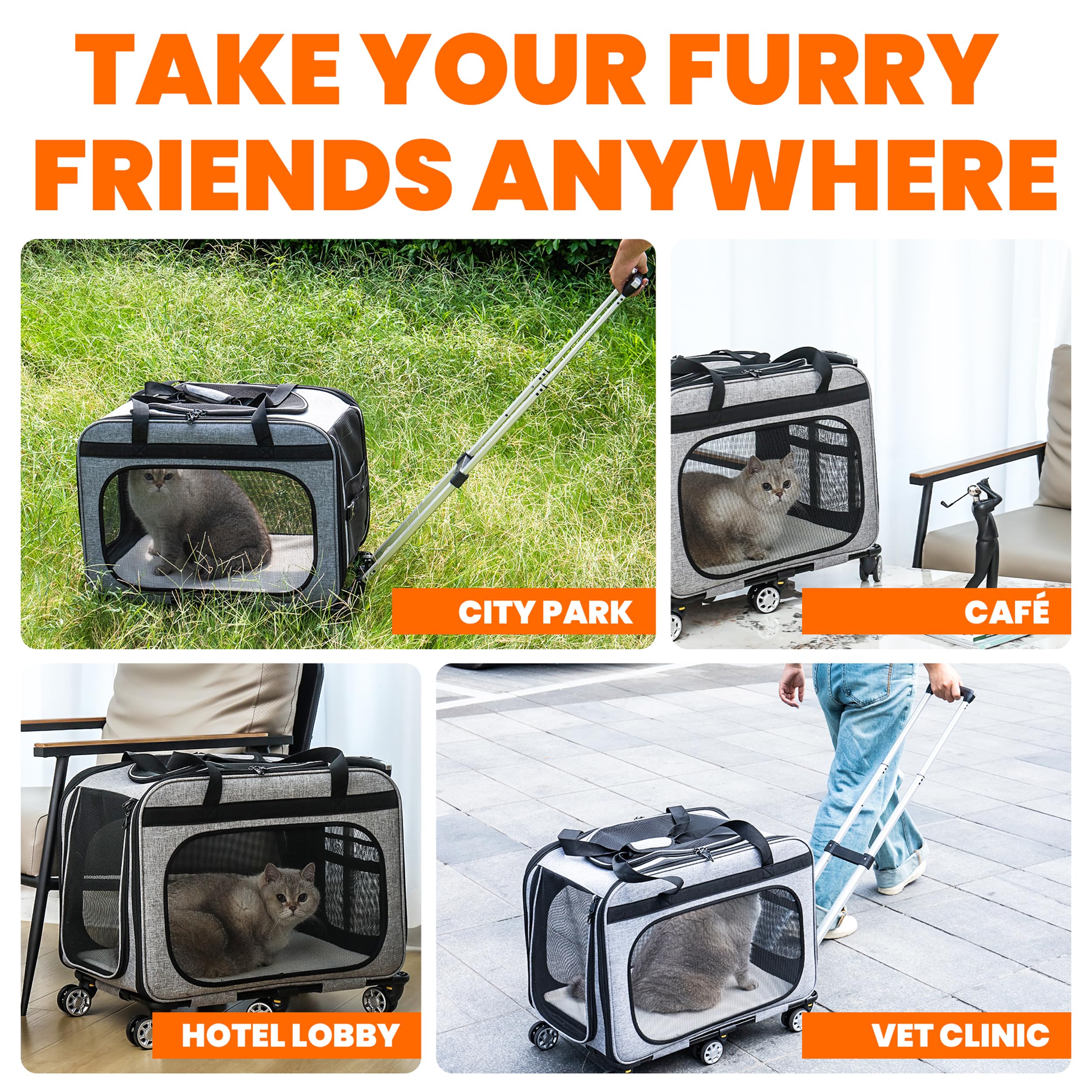 XL Pet Carrier for Cats & Small Dogs - 25