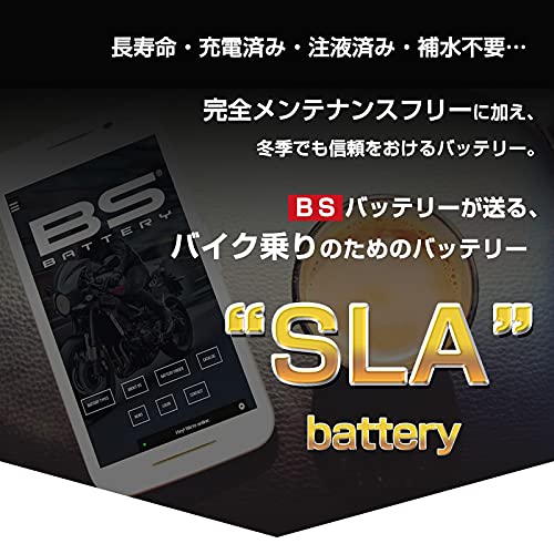 BS Battery SLA BTZ12S (FA) - High-Performance Sealed Lead Acid Battery for Motorcycles, ATVs, and Power Sports - Perfect for Off-Road Adventures and Backup Power