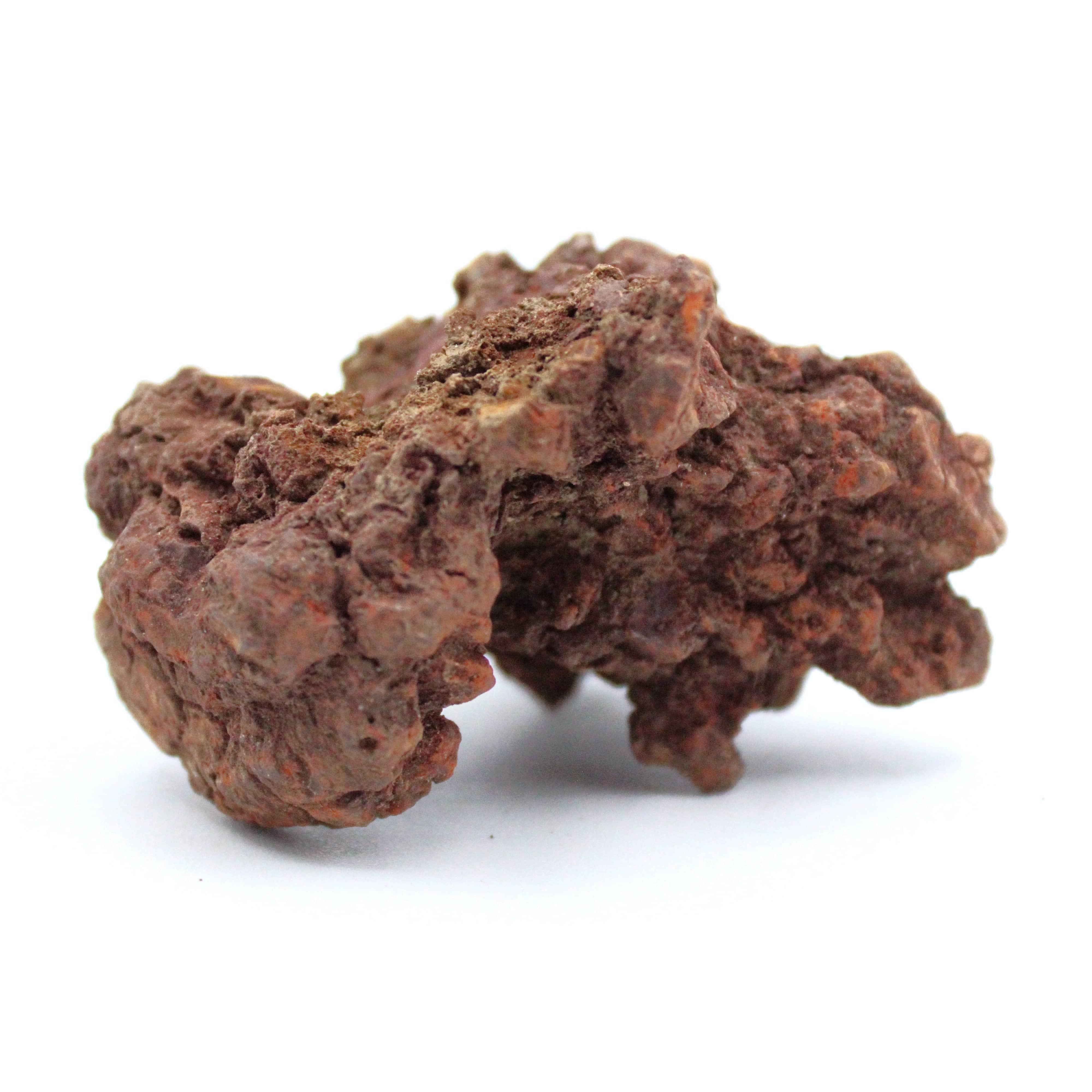 Authentic Coprolite Fossil Specimen - Dinosaur Poop Fossil for Collectors & Science Enthusiasts - Perfect for Educational Displays & Paleontology Gifts