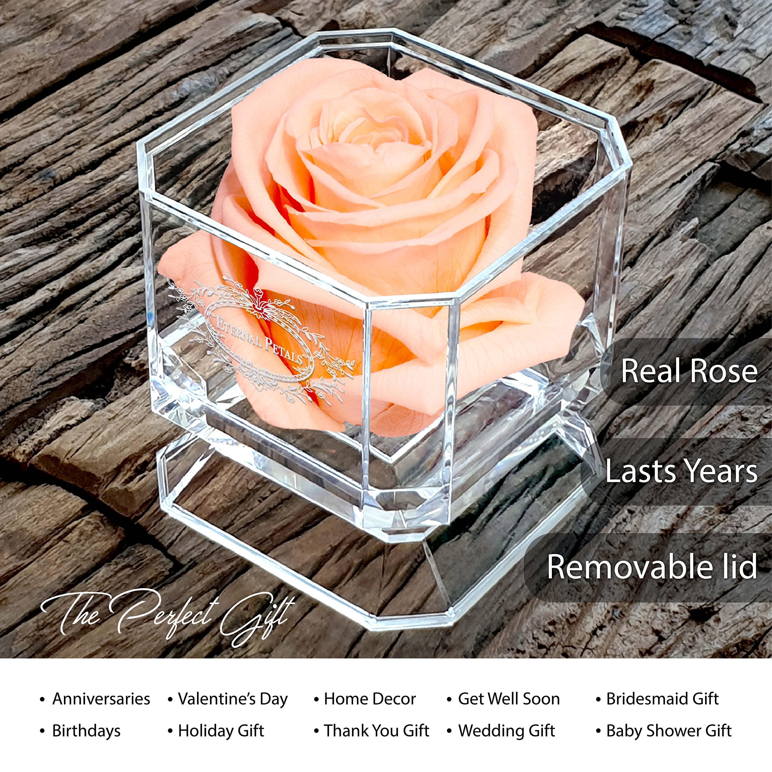 Real Rose That Lasts Over 1 Year - Handcrafted in London - White Gold Solo Rose with Peach Scent - Perfect Anniversary & Wedding Gift - Elegant Home Decor for Living Room, Bedroom & Office - Romantic Centerpiece for Valentine's Day & Special Occasions