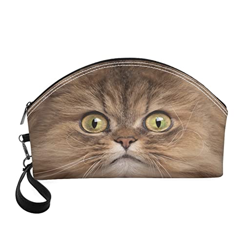 3d Kitty