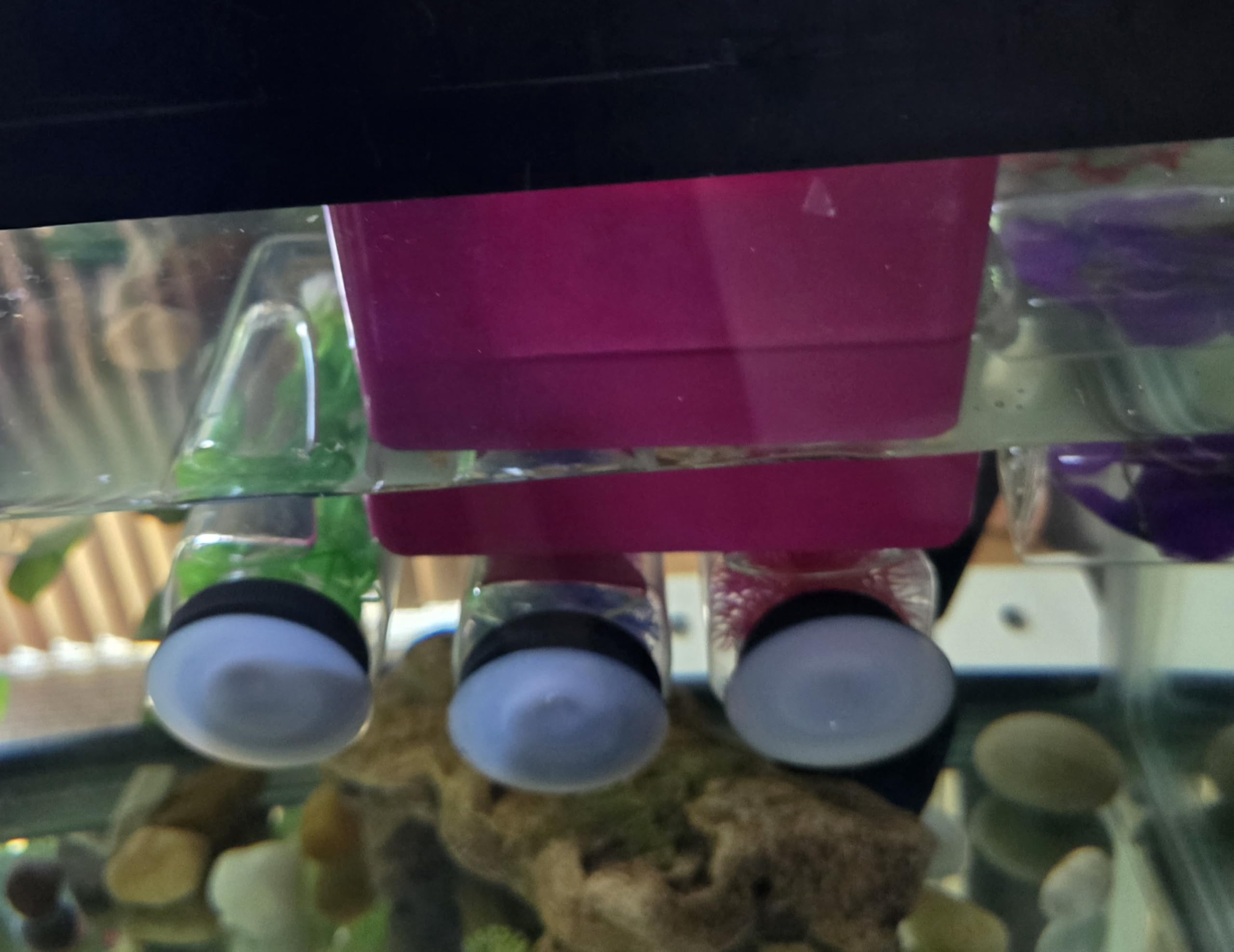 Premium Plastic Aquarium Plants with Suction Cups - 2 Large Bottles for Turtle Basking Platform | Handmade Pet Supplies for Fish Tank Decoration & Reptile Habitat