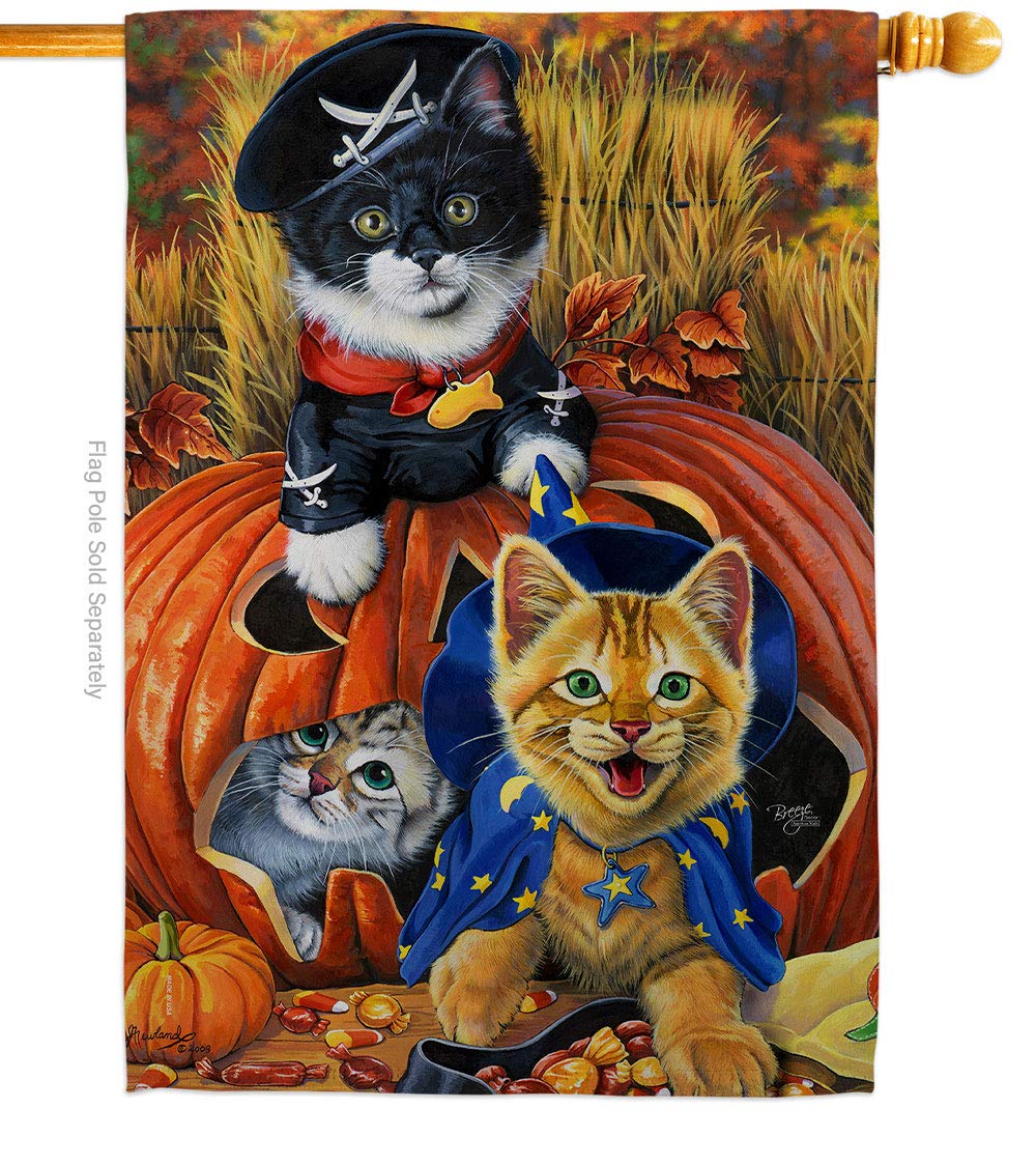 Halloween Kittens Fall Decorative Vertical House Flag - 28