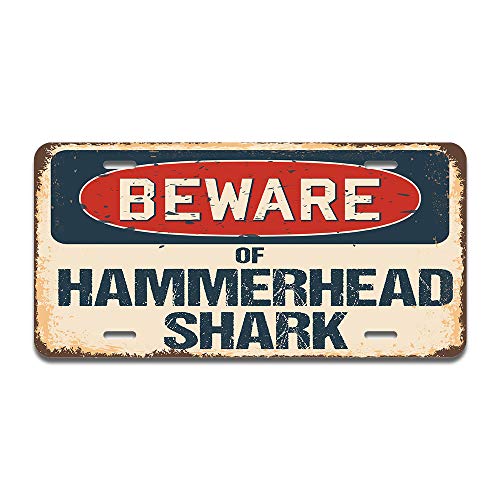 Beware of Hammerhead Shark