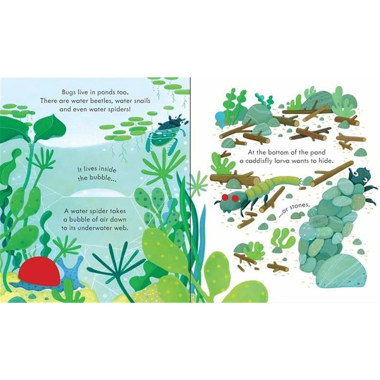 Peep Inside Bug Homes - Explore Insect Habitats & Nature Discovery for Kids - Perfect for Outdoor Learning & Science Exploration